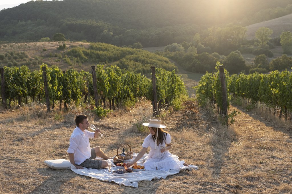 vineyard picnic