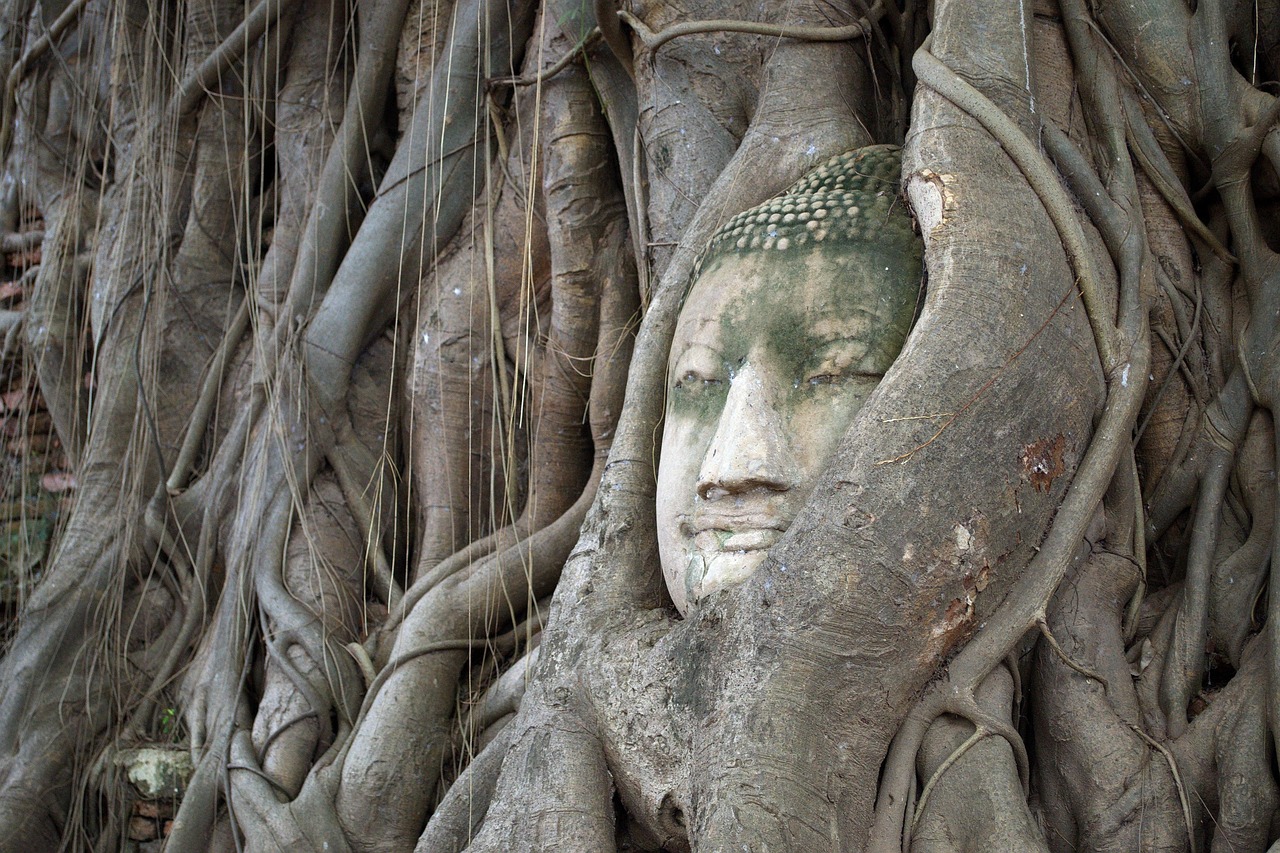 buddha hoofd