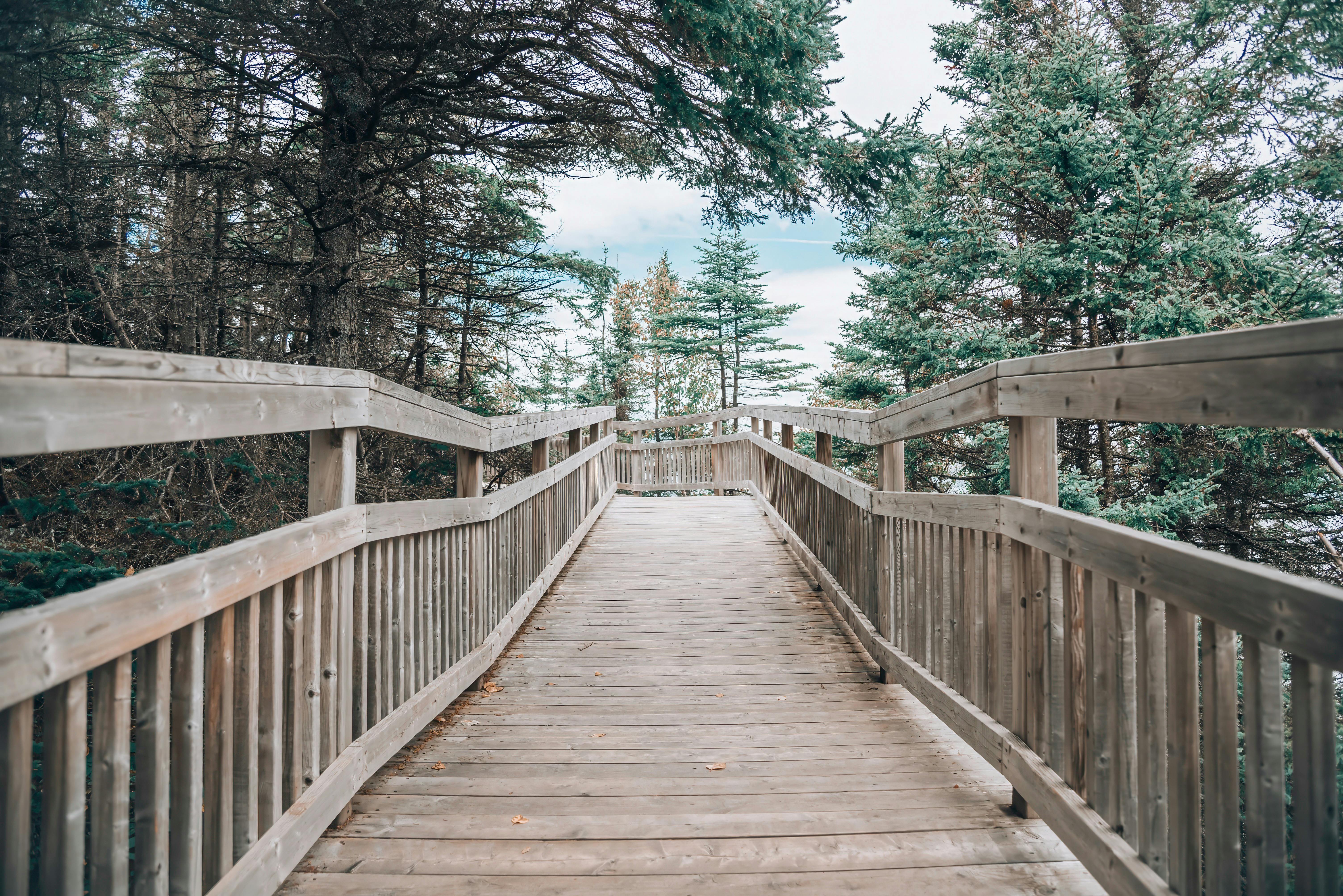 forillon national park