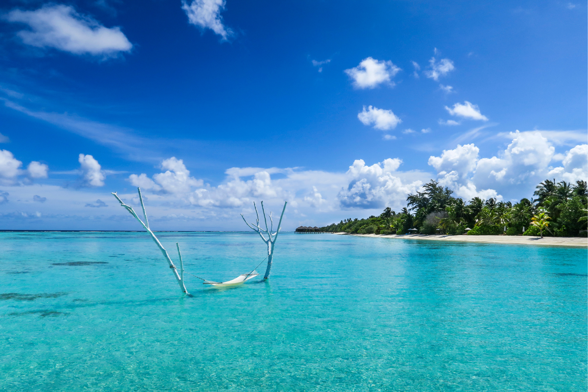 south ari atoll hangbed