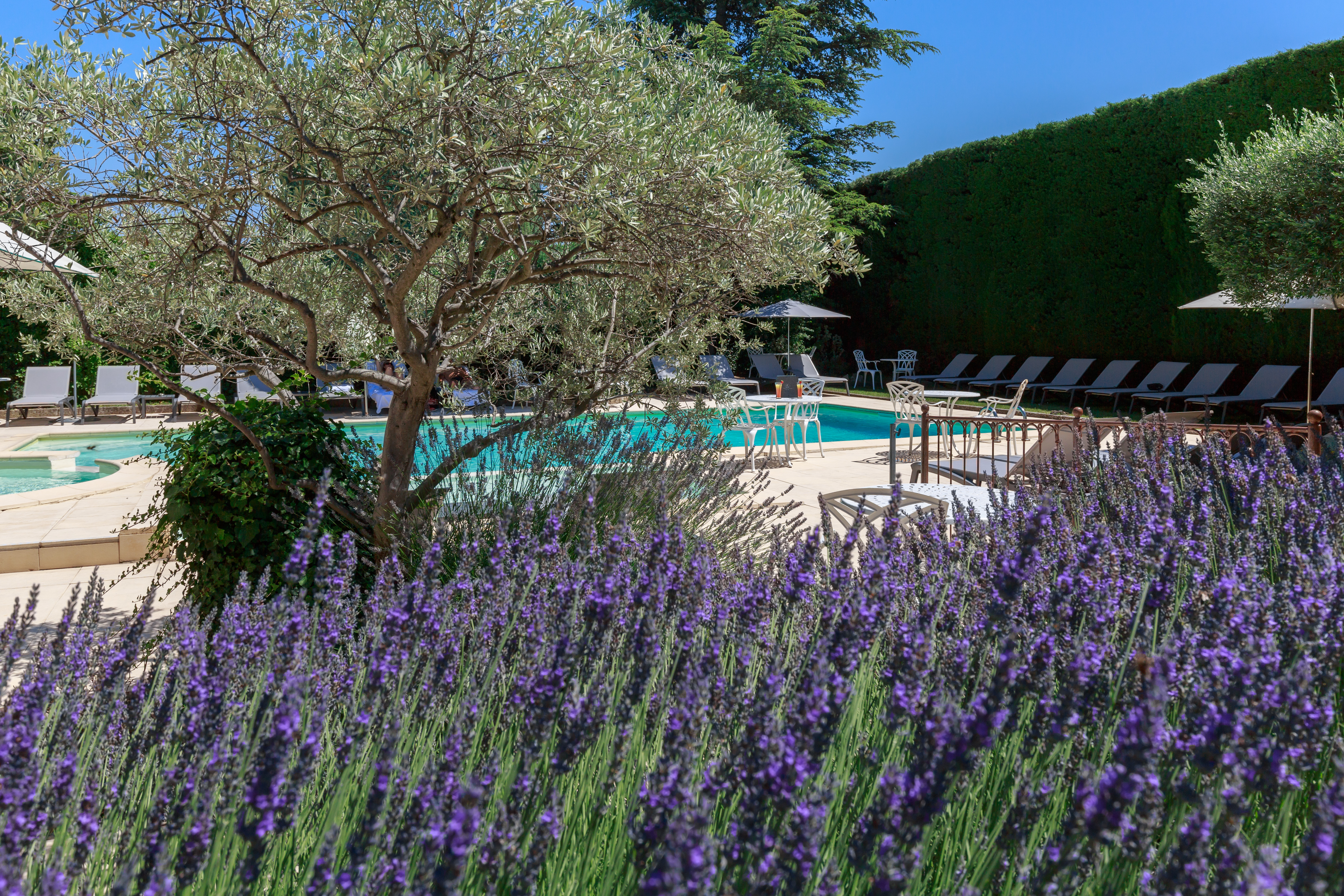 aubergedecassagnespa piscine lavandes olivier