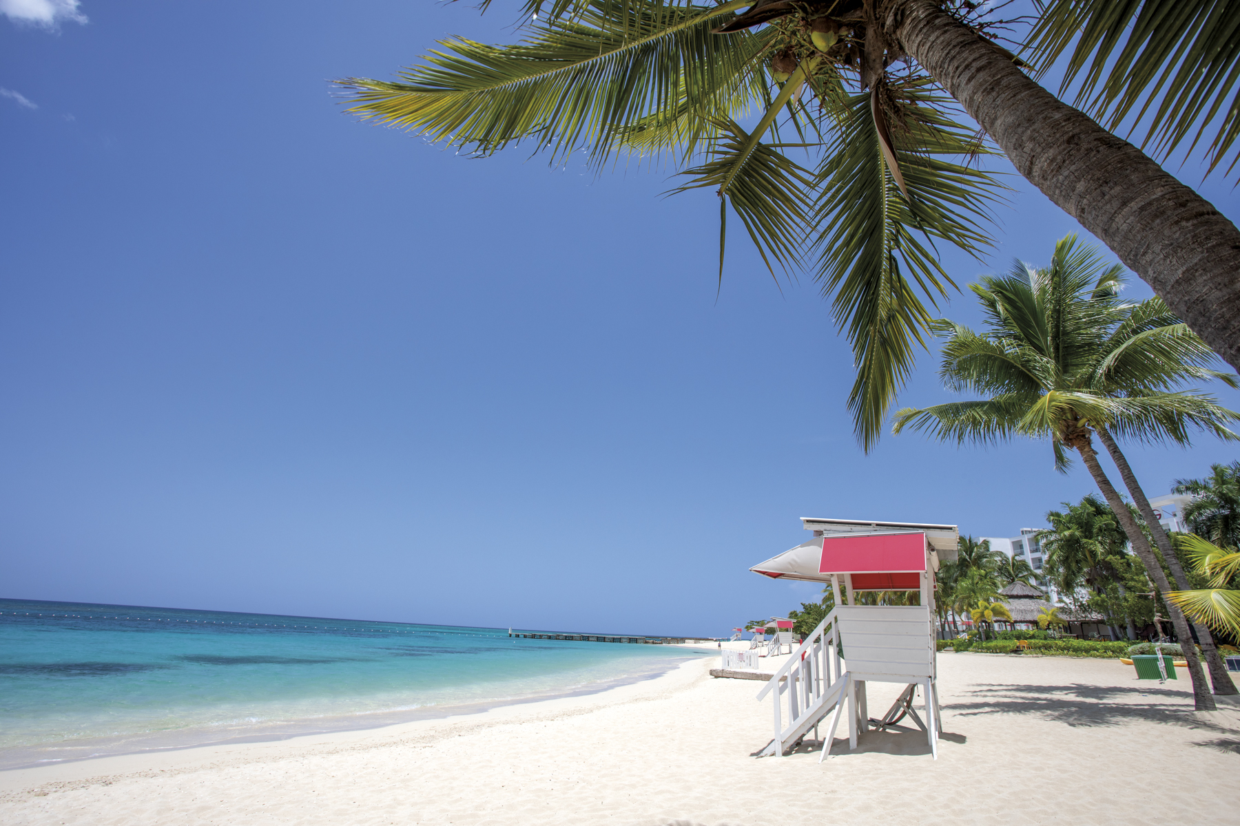 145 jtb nature montegobay doctorscavebeach