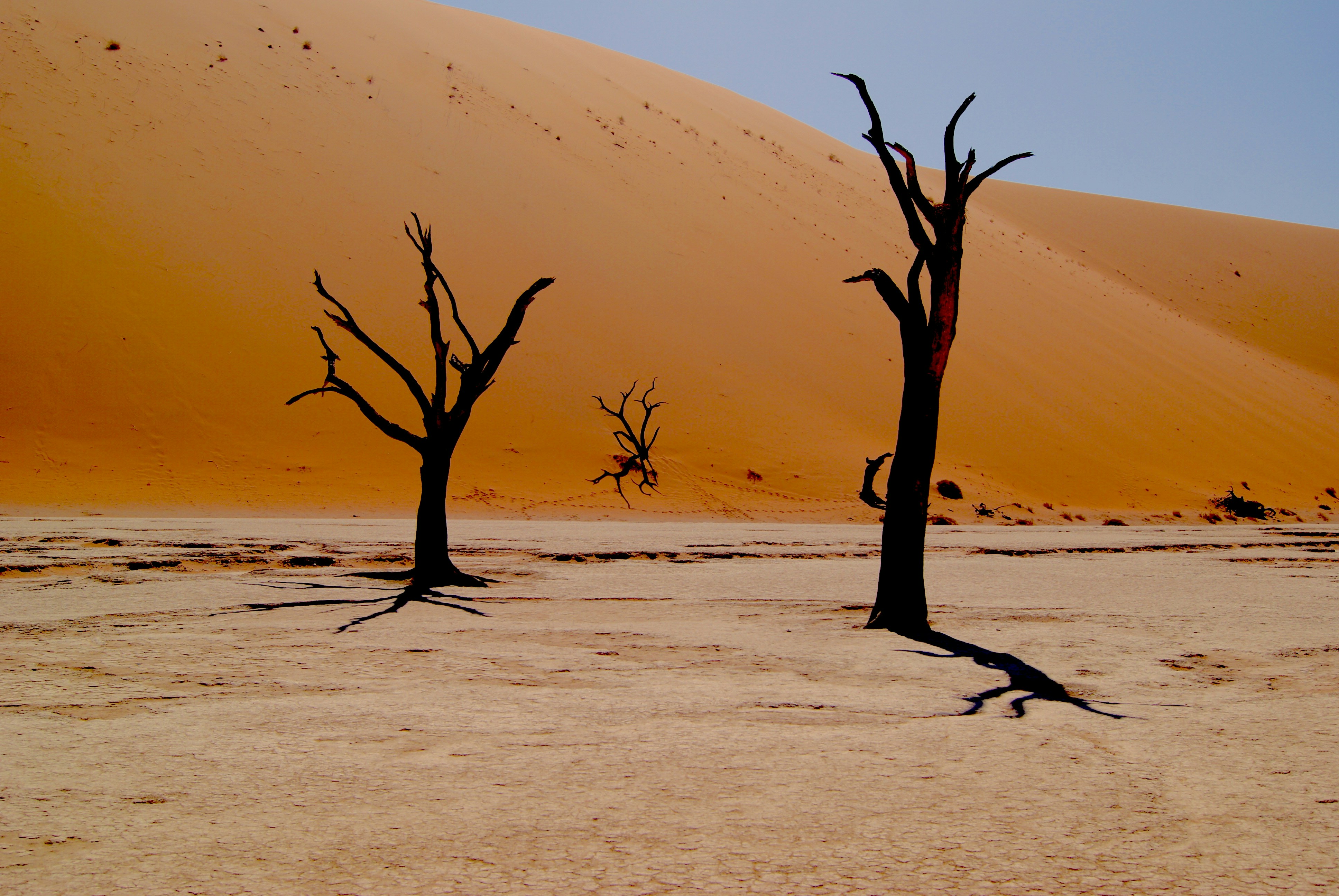 Timeless Namibia 