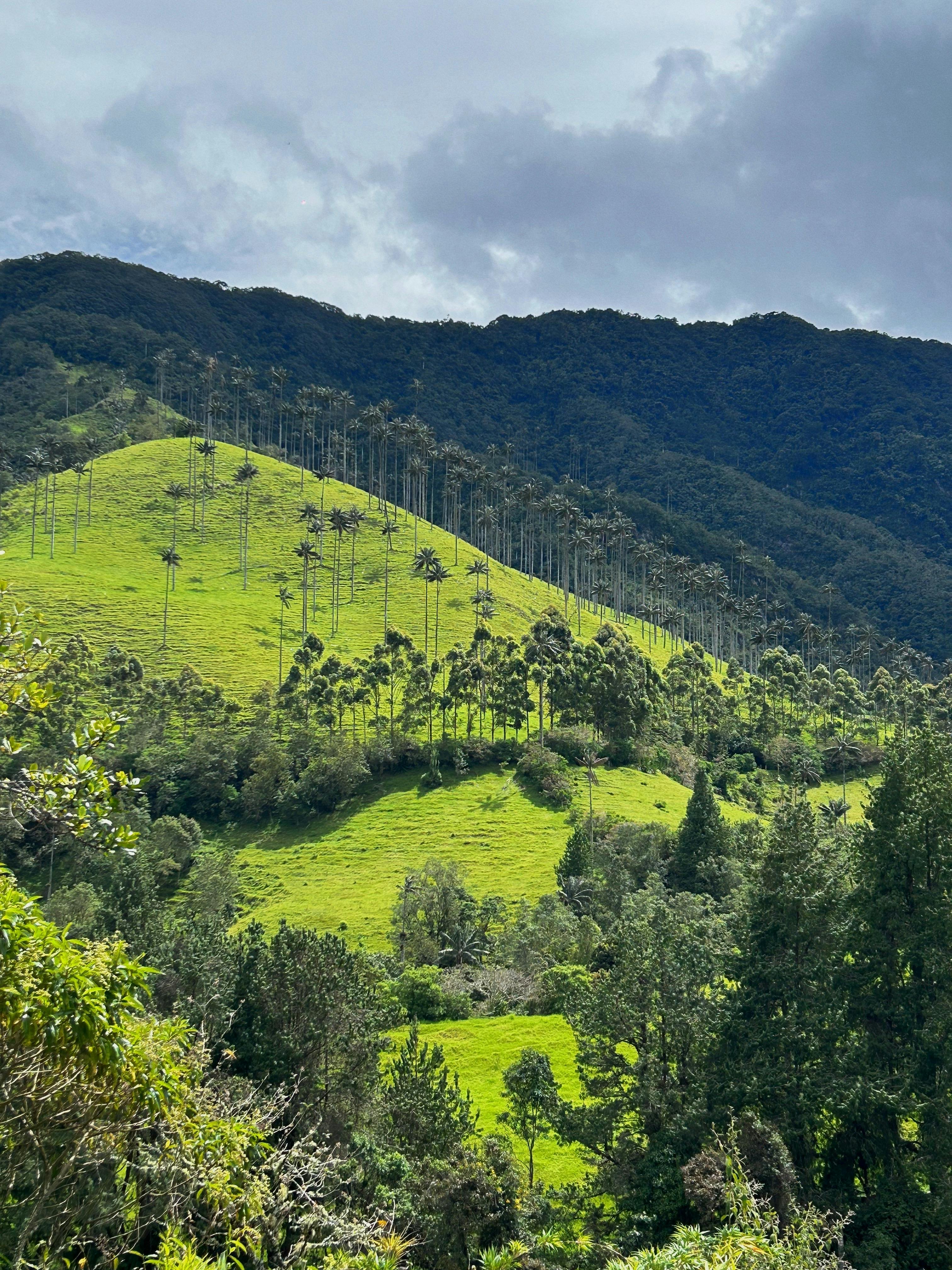 salento 2 colombia