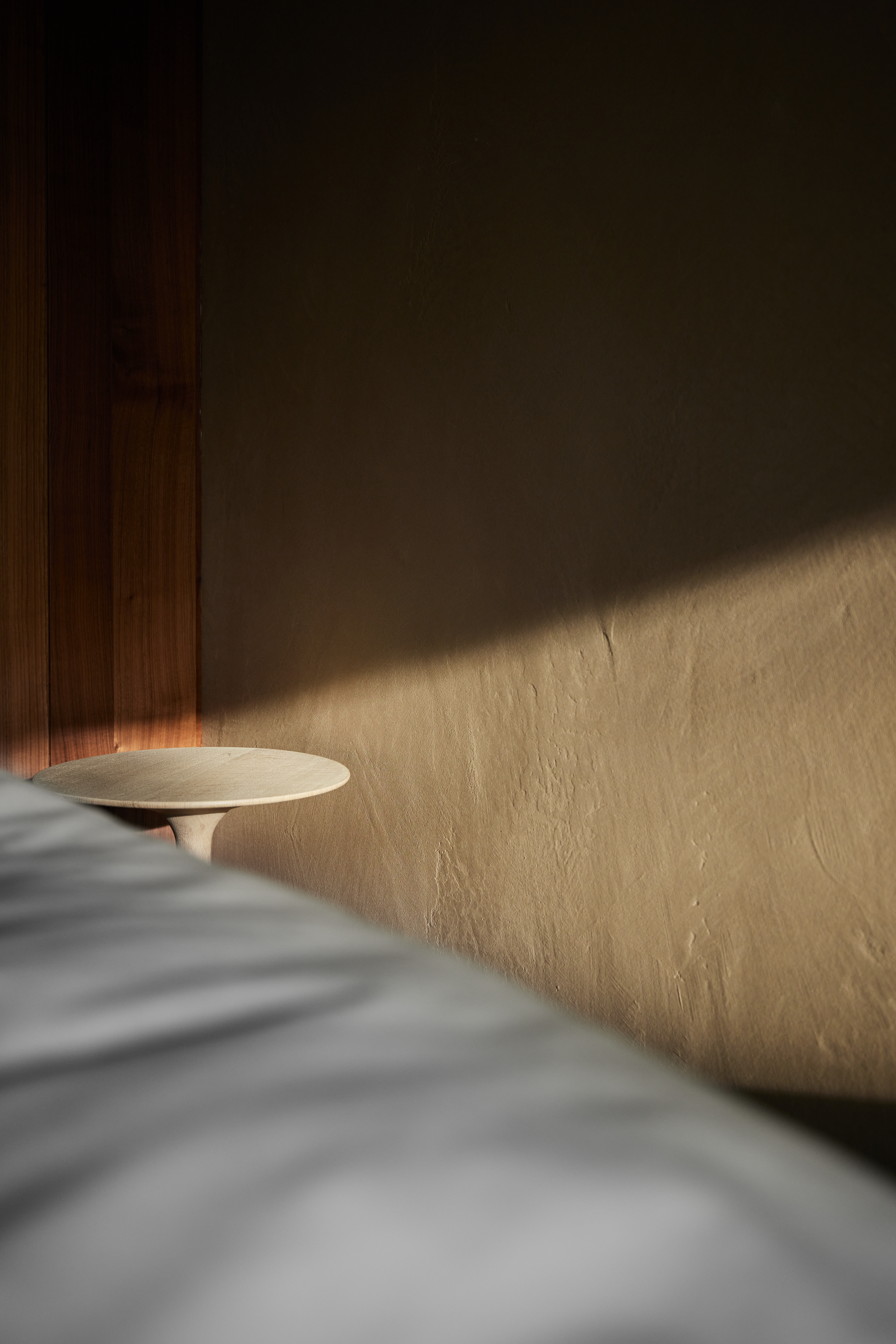 sal forestloggia 0002