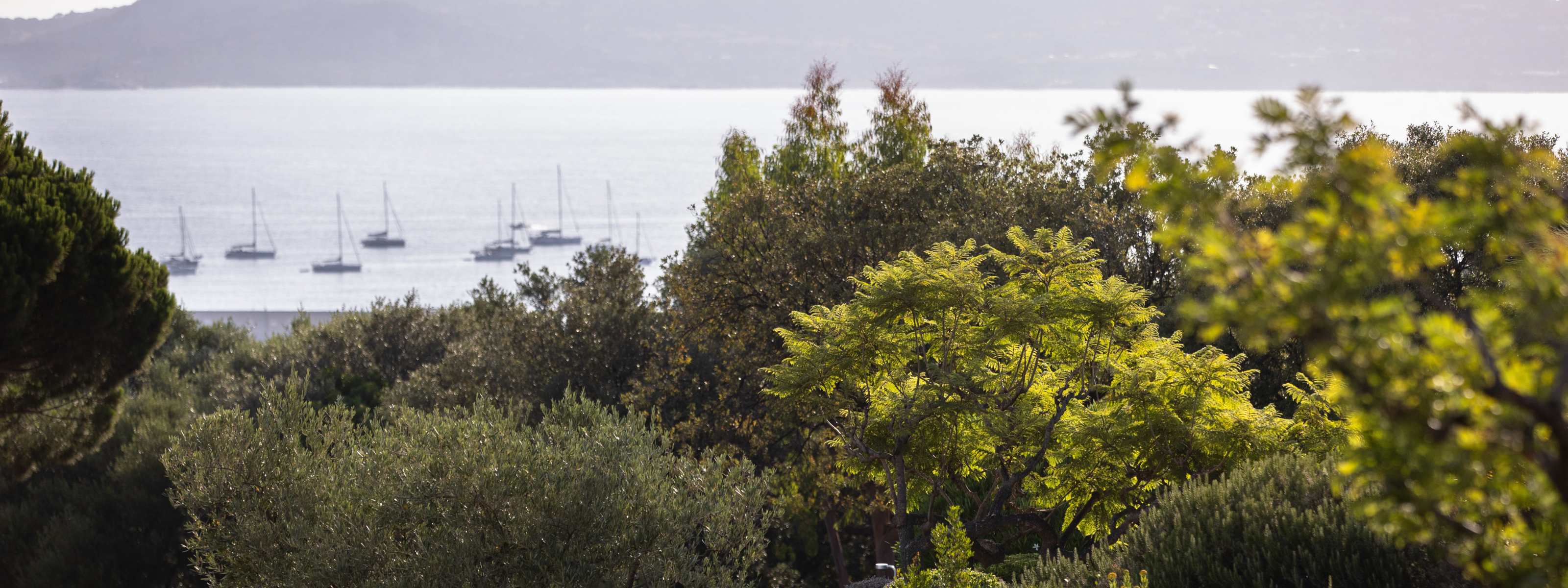 la villa calvi location