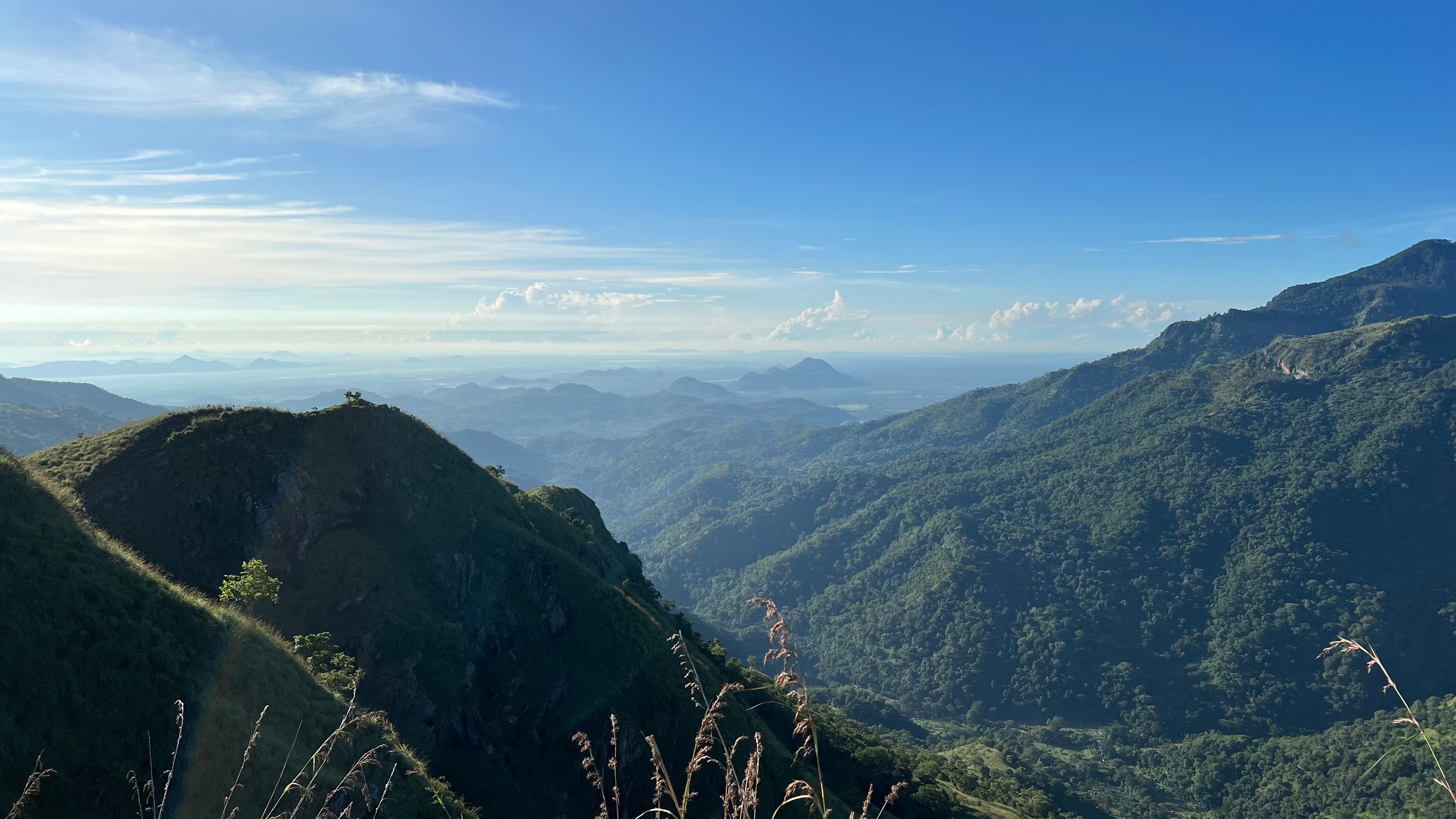 little adam s peak