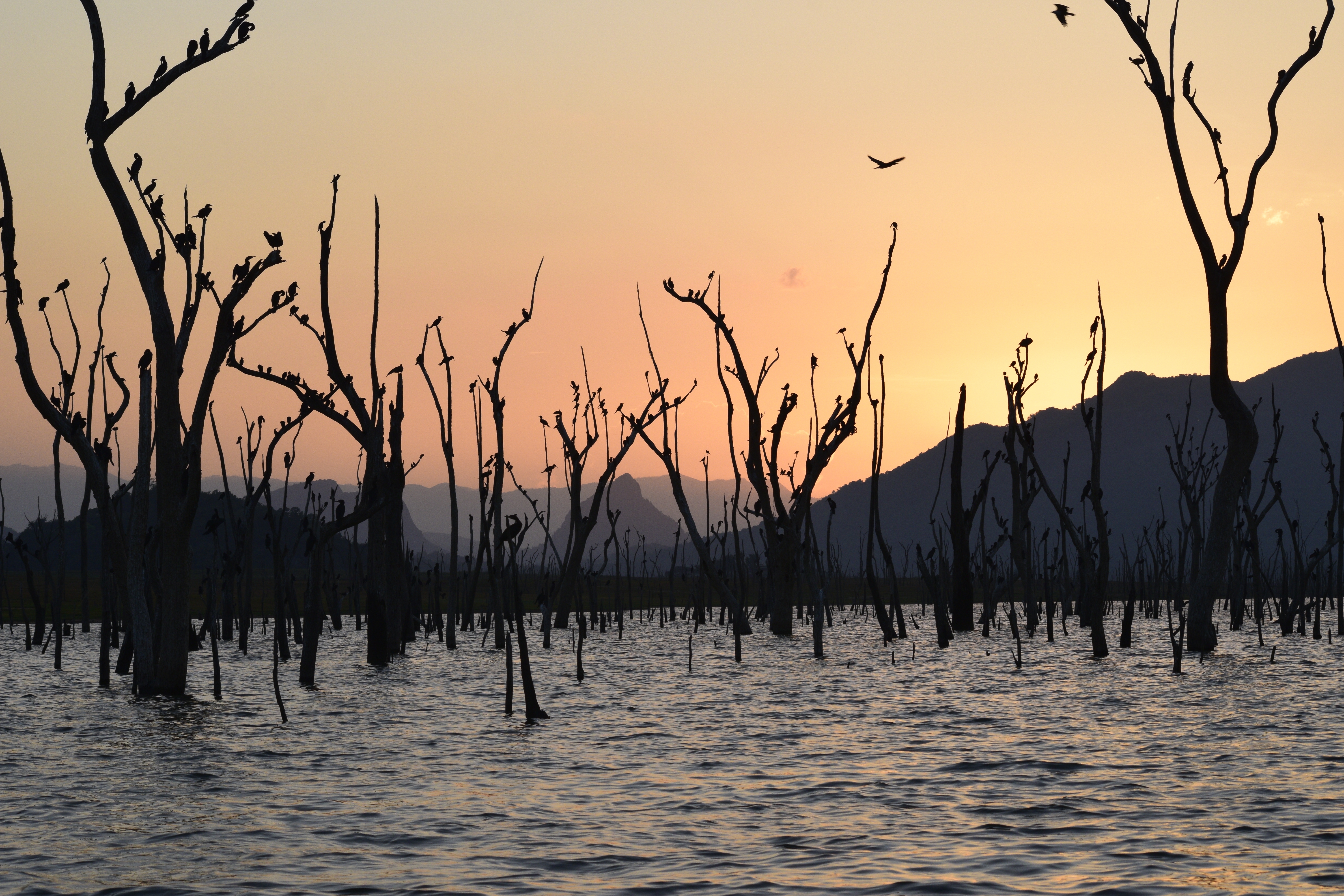 gal oya national park
