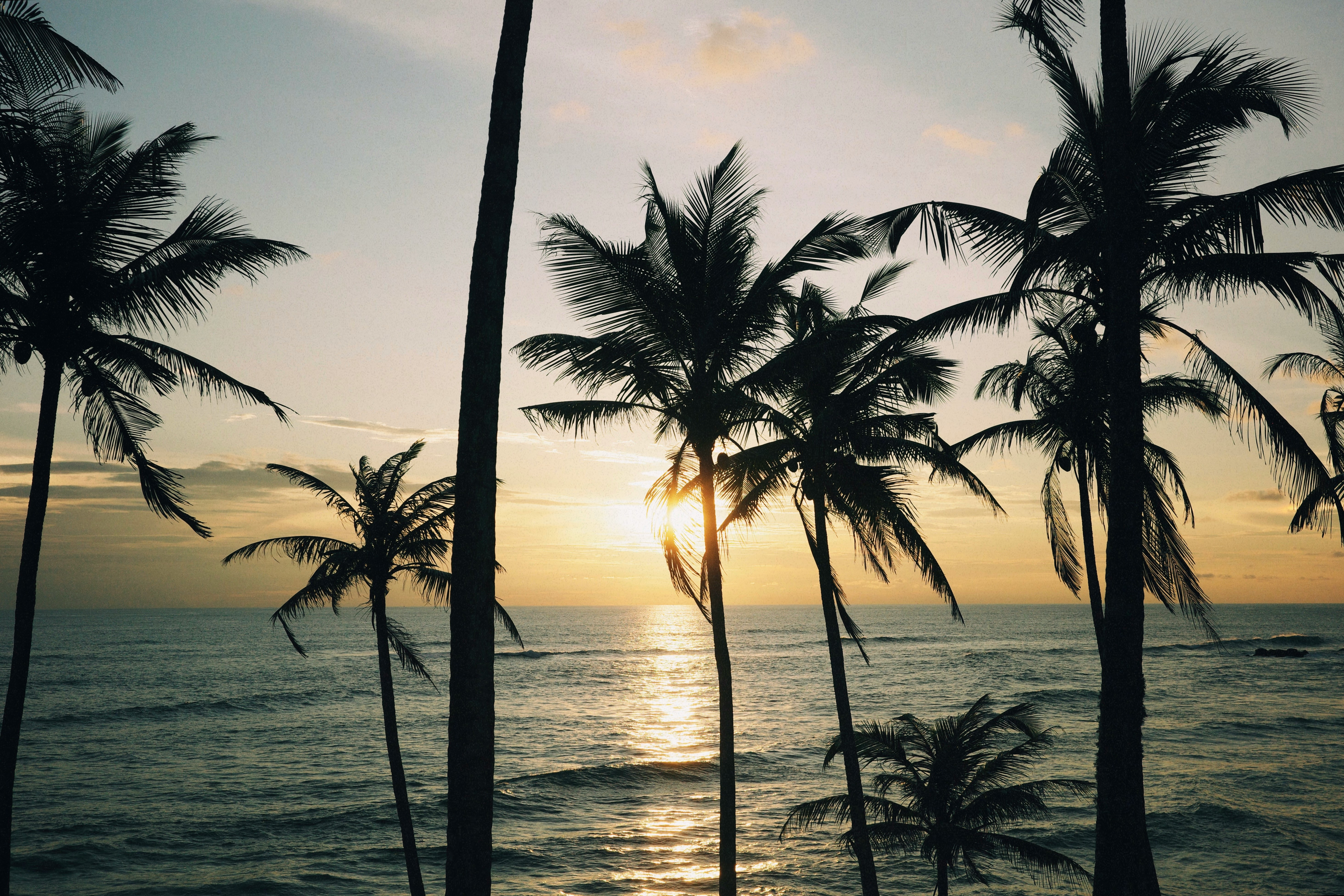mirissa