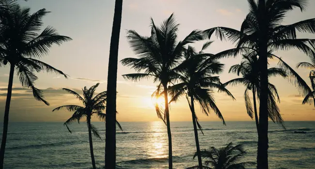 Sri Lanka for explorers