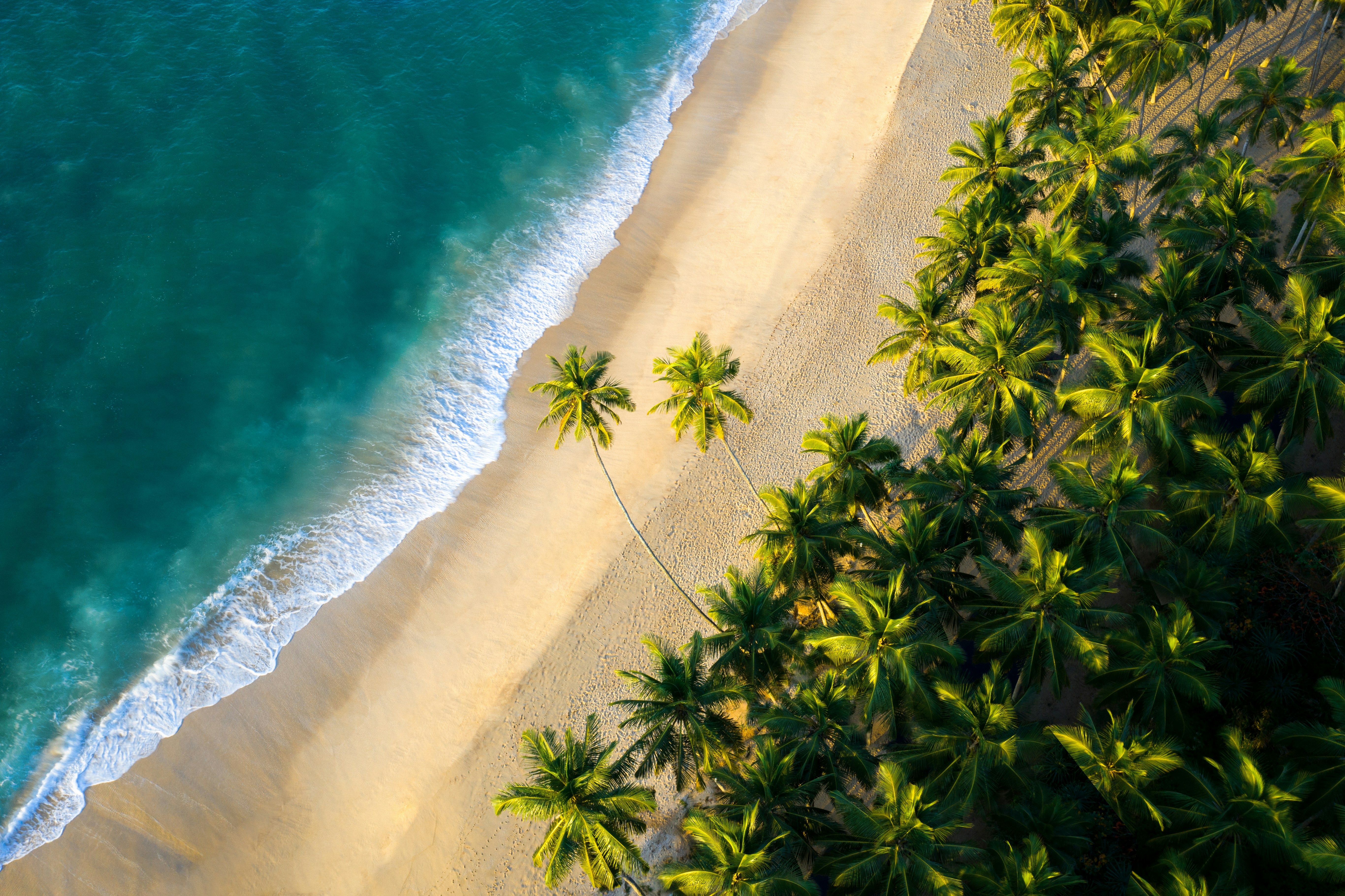 beach sri lanka