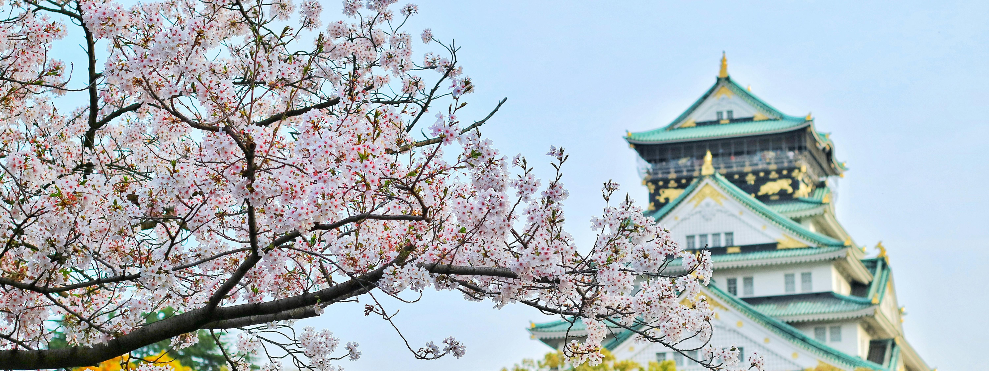 rondreis japan twee weken