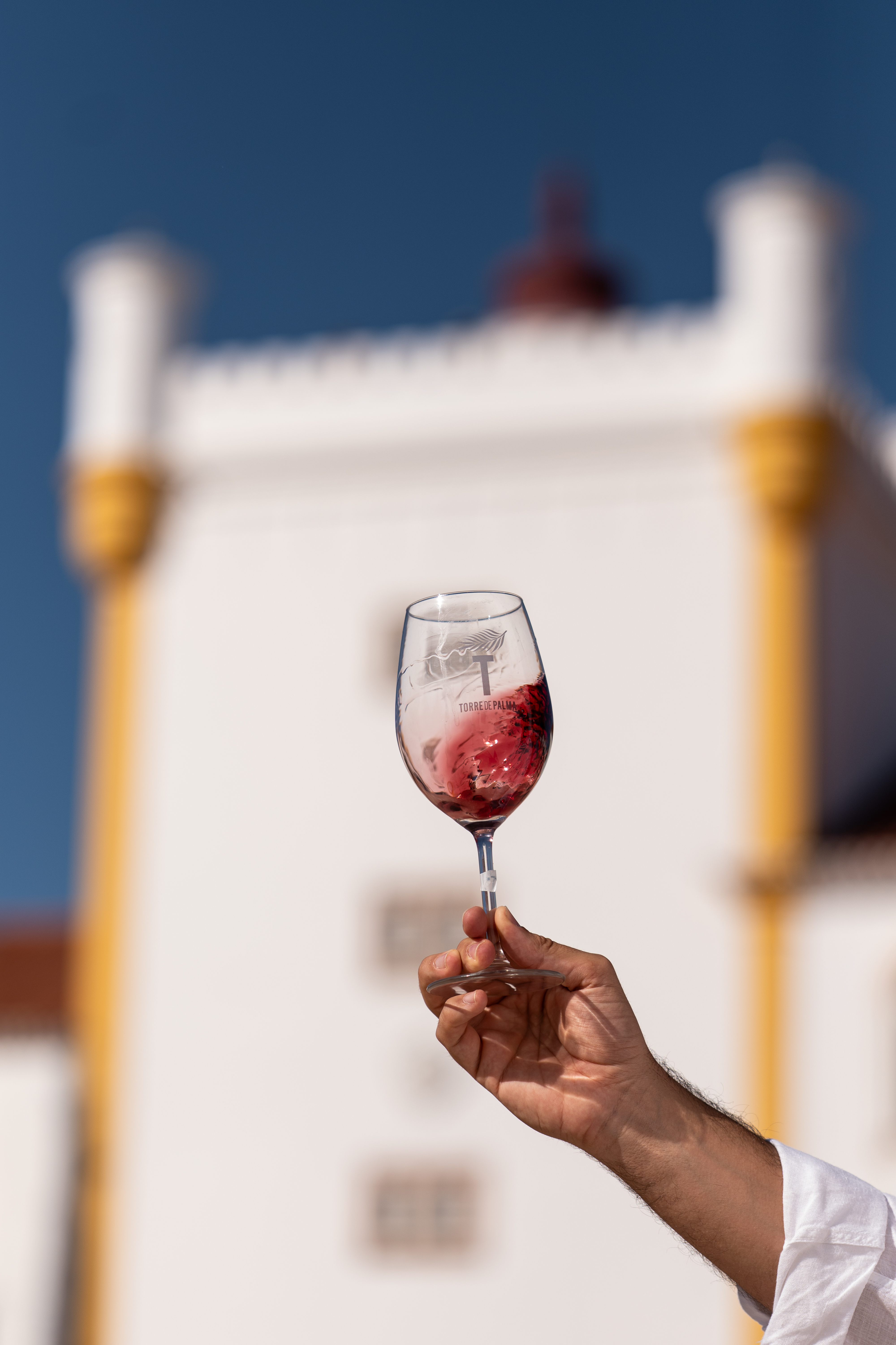 torre de palma alentejo 5