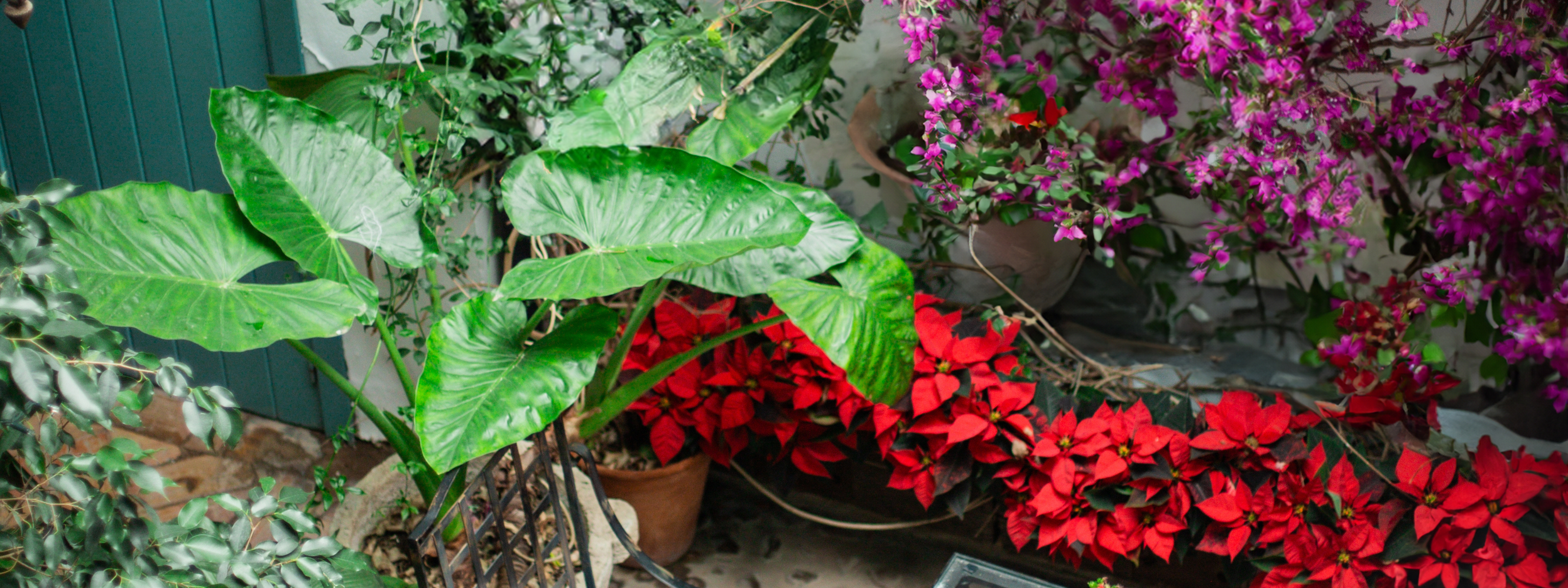 hospes las casas del rey de baeza sevilla location