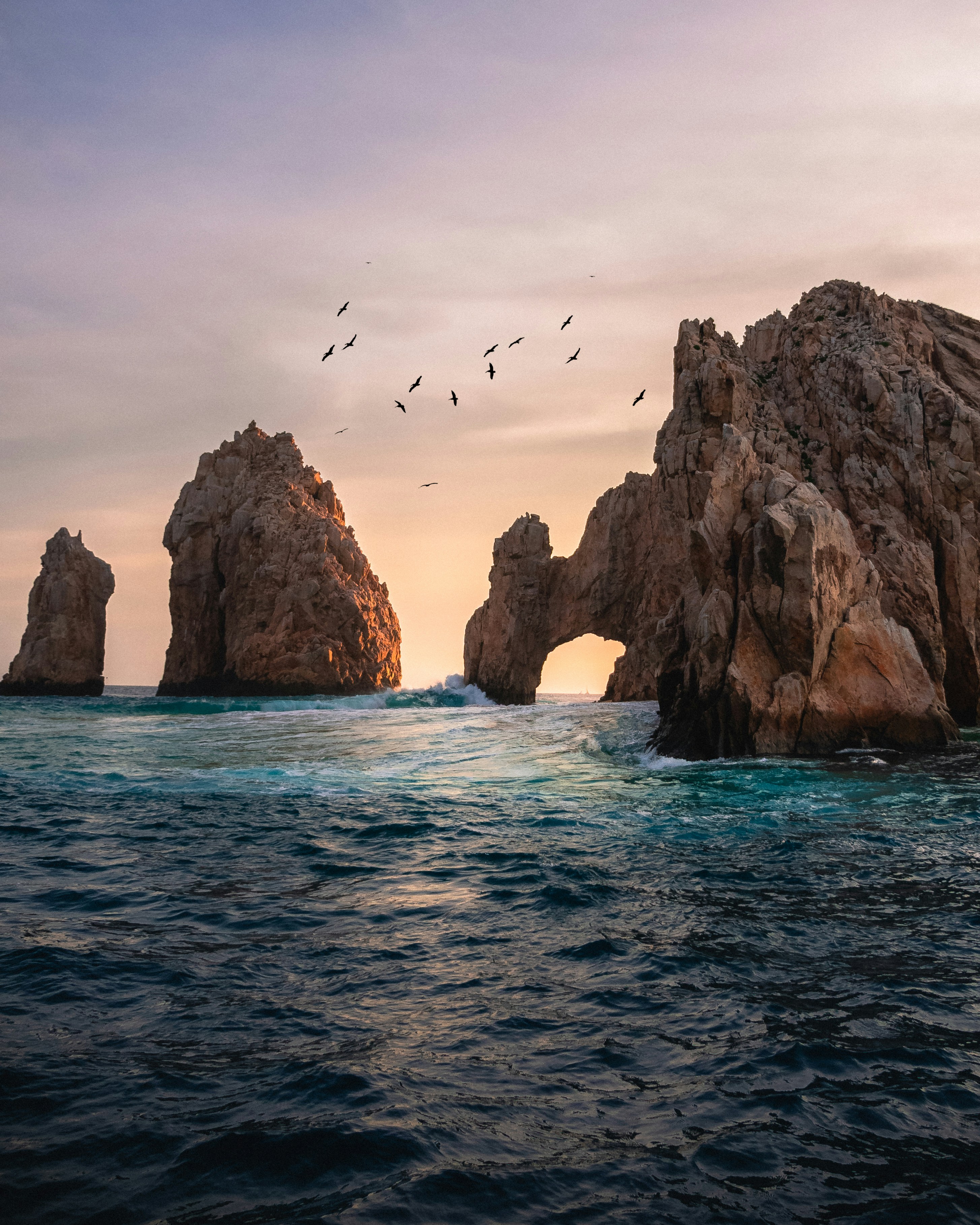 11-day boutique cruise through Baja California