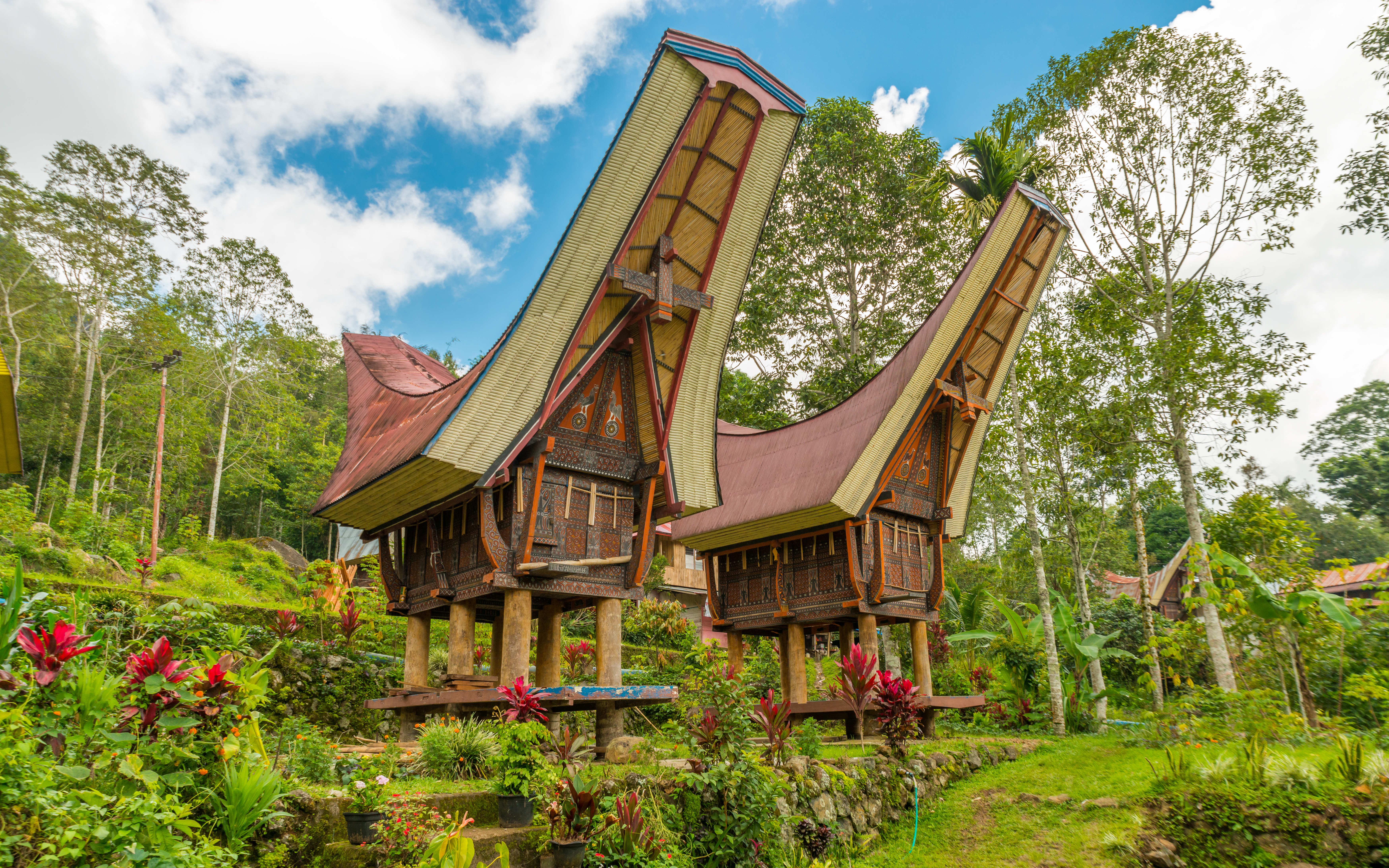 toraja houses sulawesi