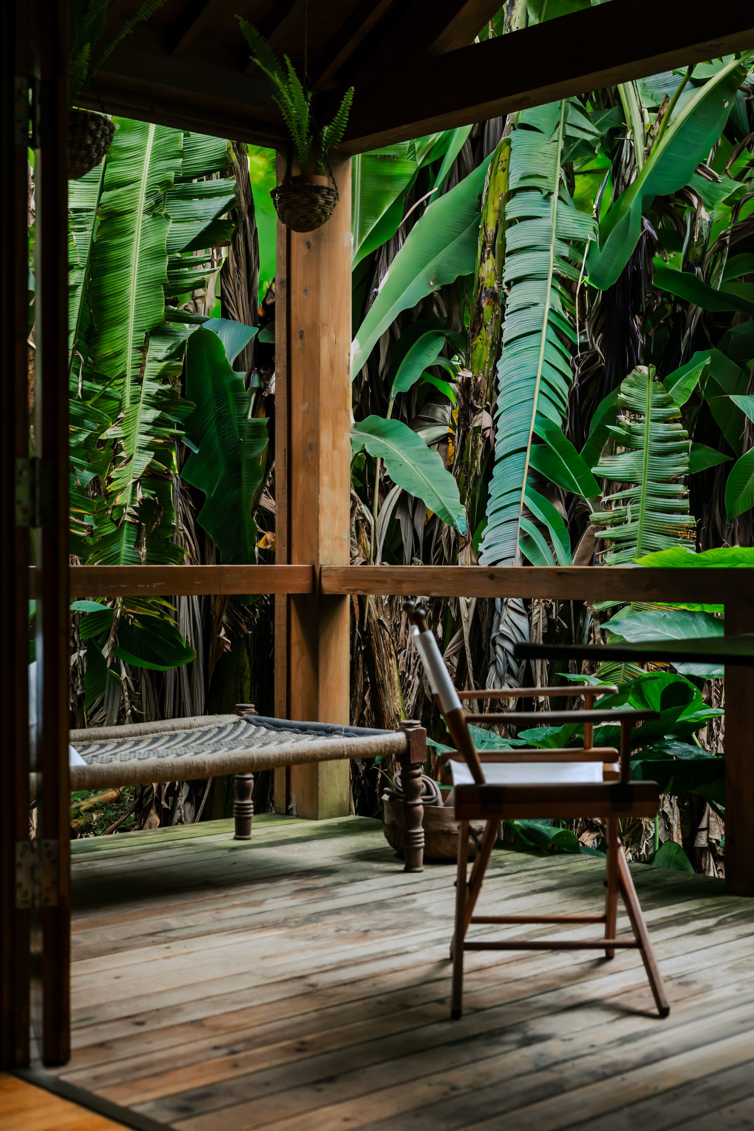 2025 senhoradarosa rooms granellodge whatthefox 0014 hdr copia