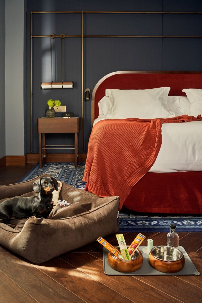 a39fba45 59e7 48d1 968a a643cfd07ac7