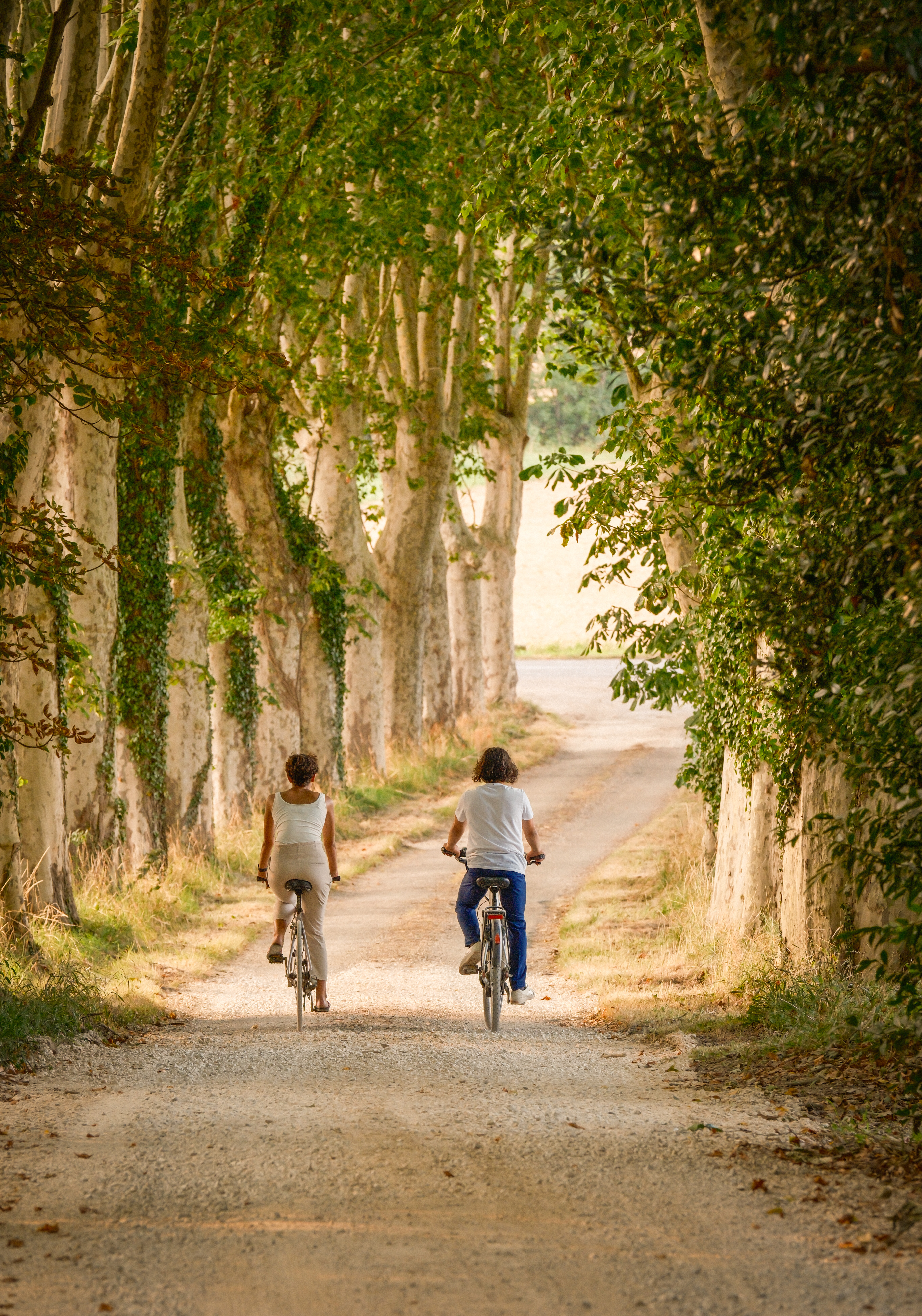 Cycling holiday along the Canal du Midi: 5 days riding through the Lauragais from Domaine de Camboyer