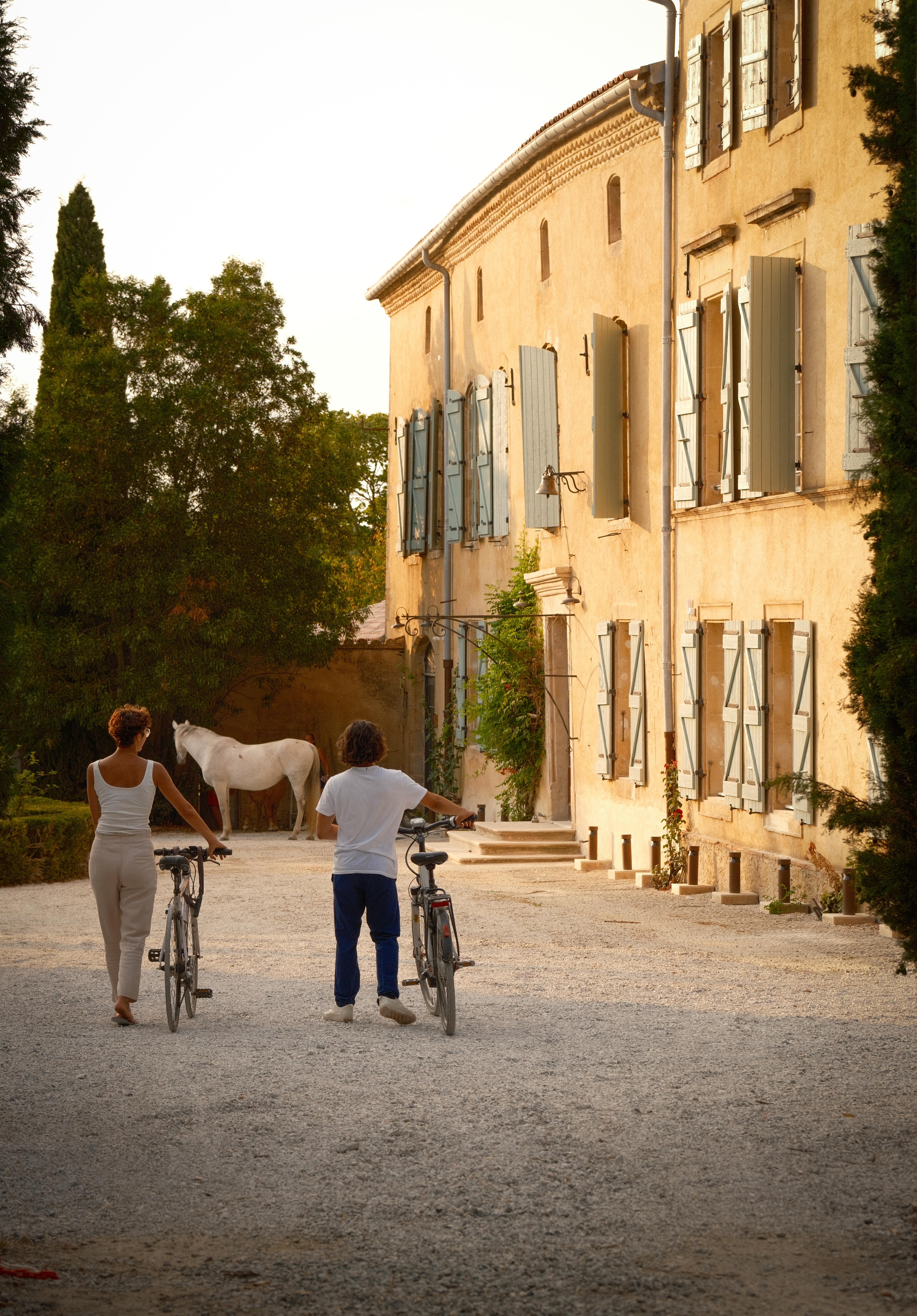 domaine de camboyer hd 68 sur 98 4