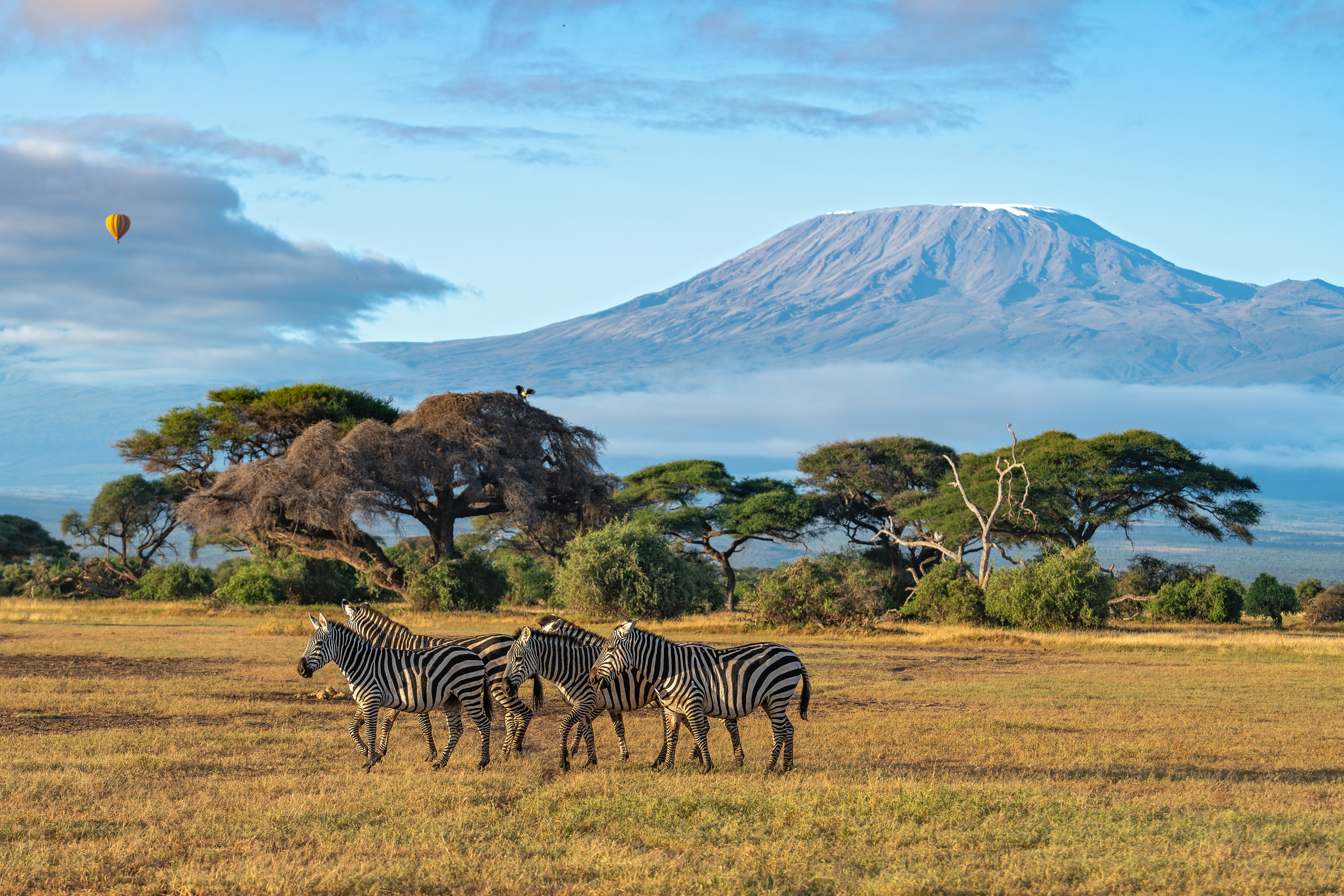 Kenya in 9 days | Safari in Maasai Mara, Ol Pejeta & Lake Nakuru
