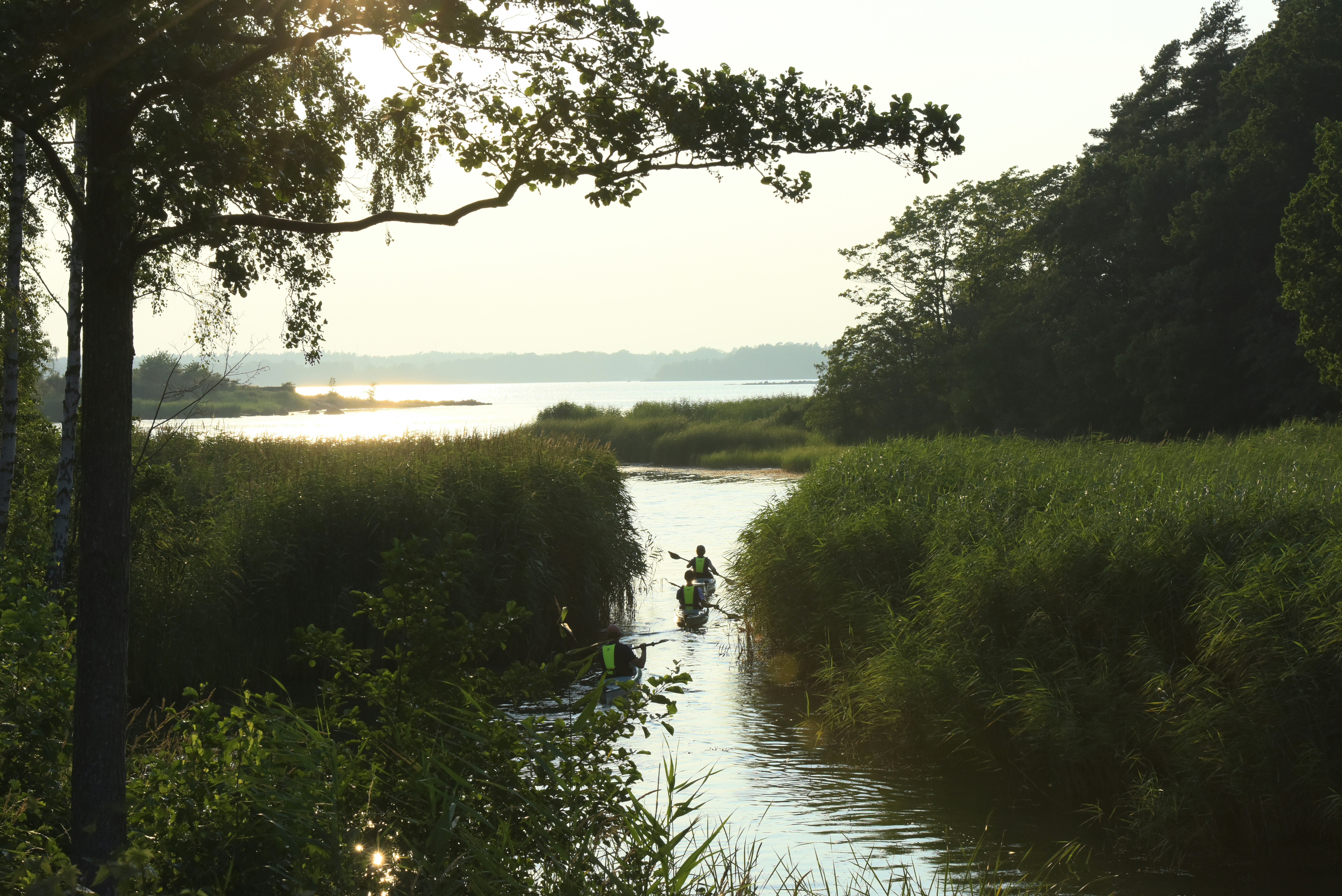 jesper cederholm jw lvgh0u e unsplash