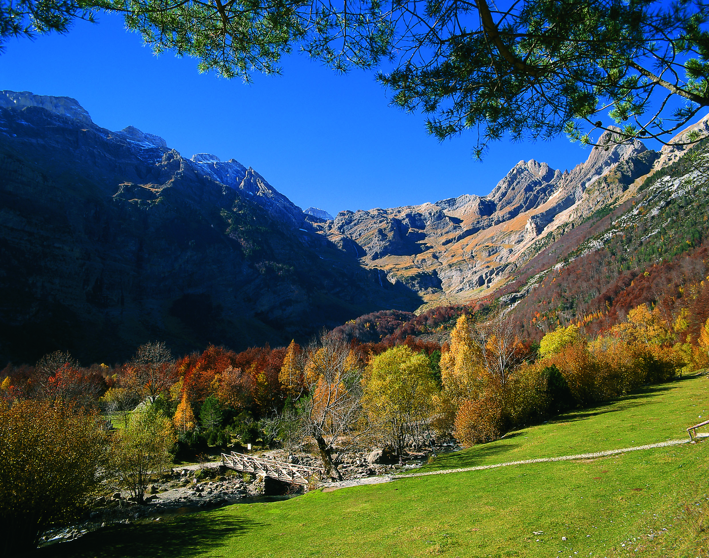 2200345 20220611042047 54468