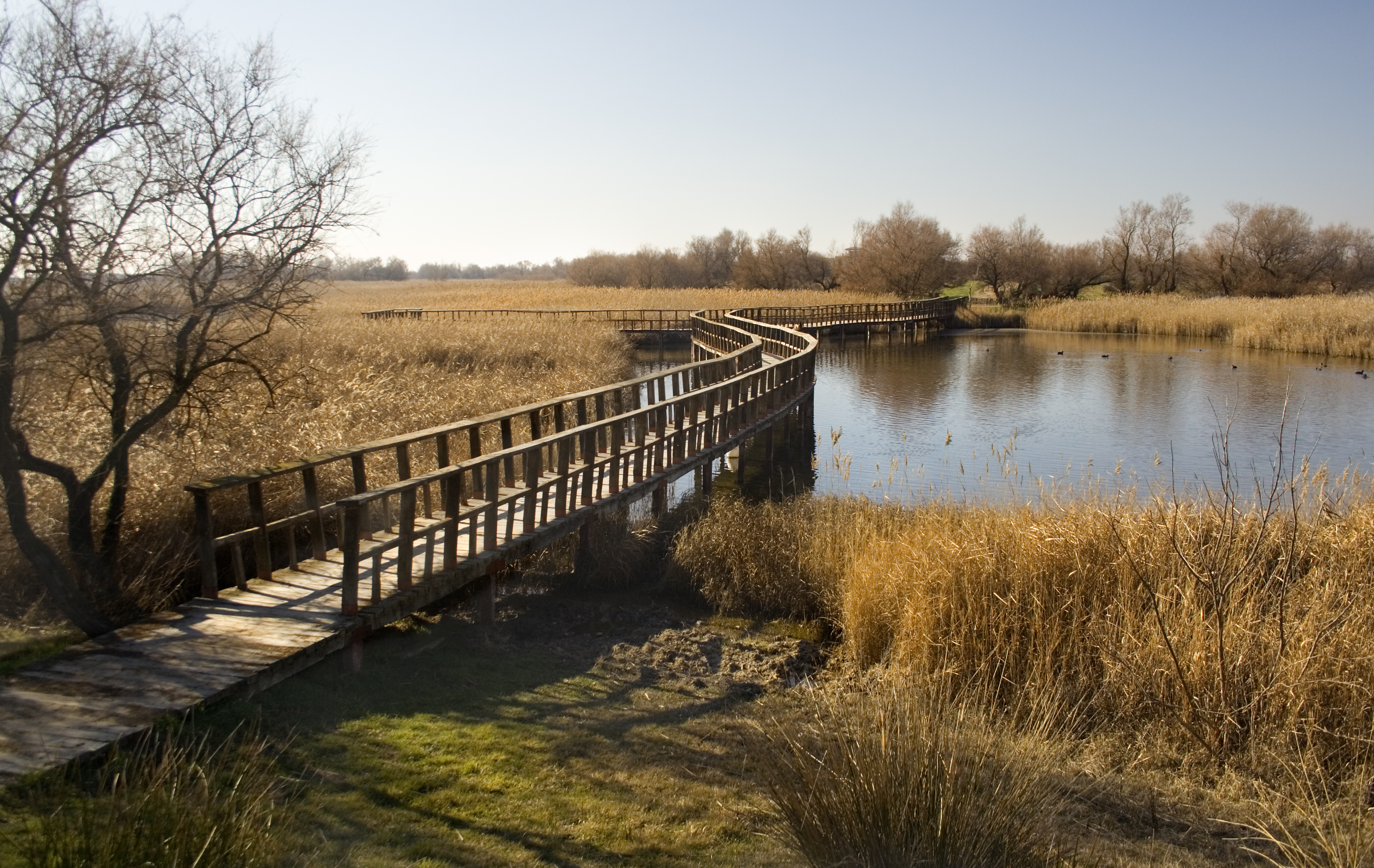 5-day tour in Castile-La Mancha