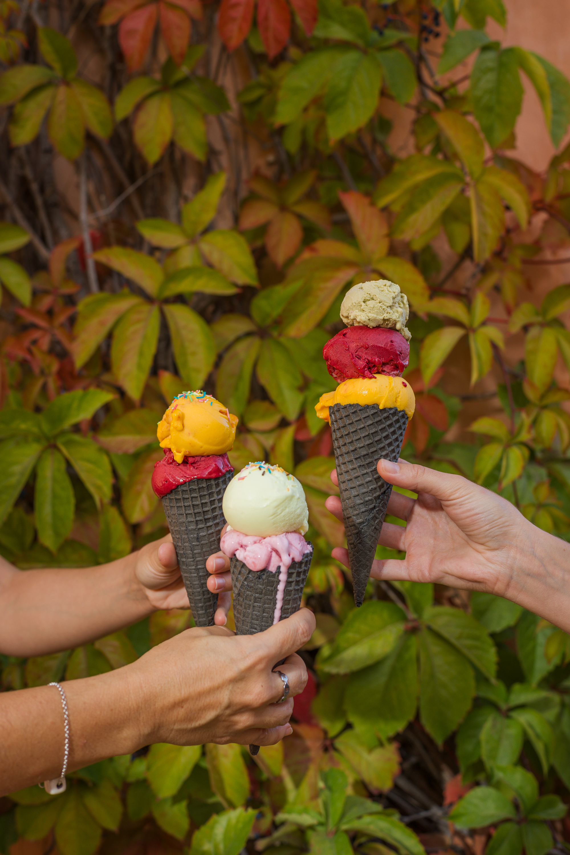 20231102 candia park 383