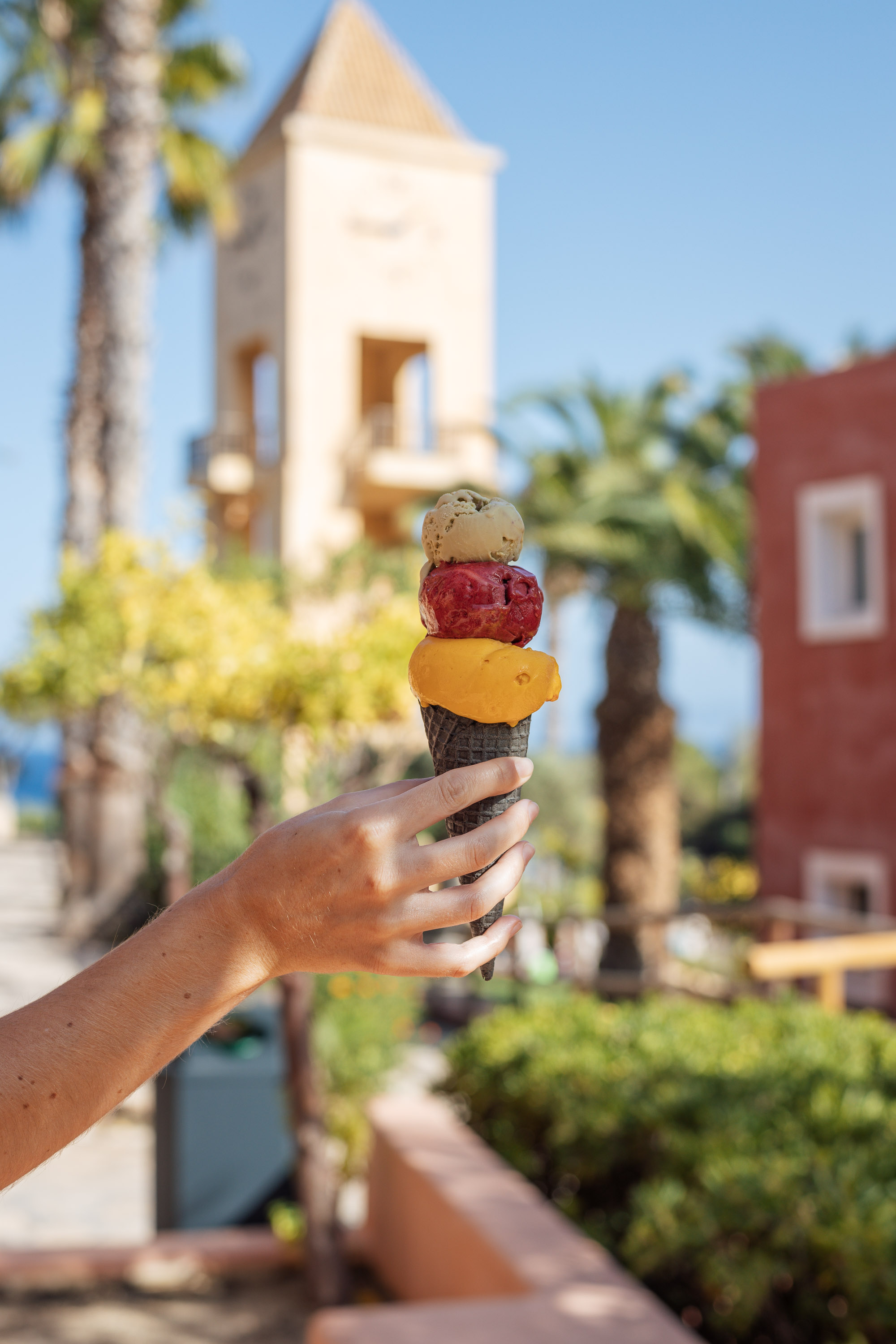 20231102 candia park 392