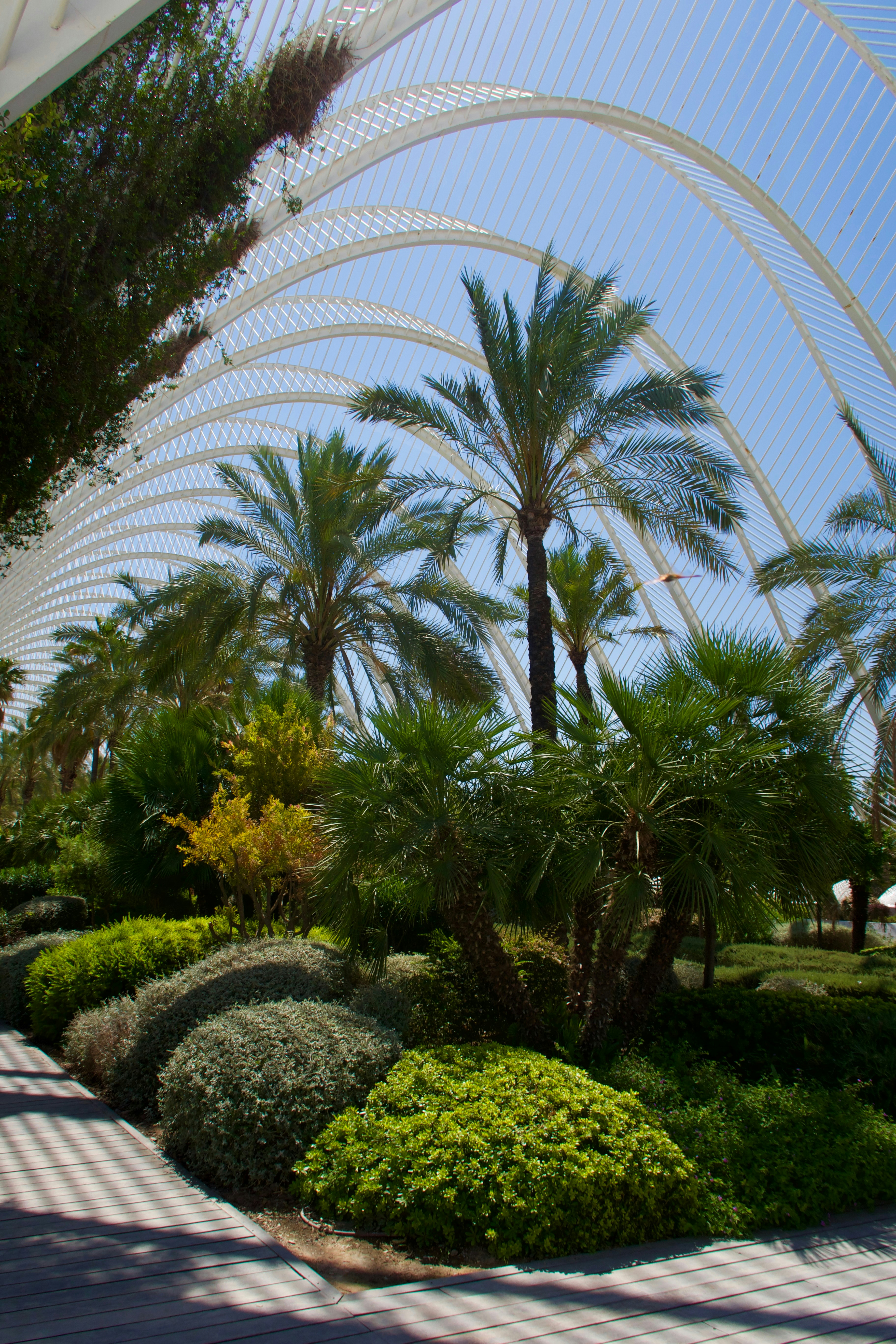 ciudad de les artes 2