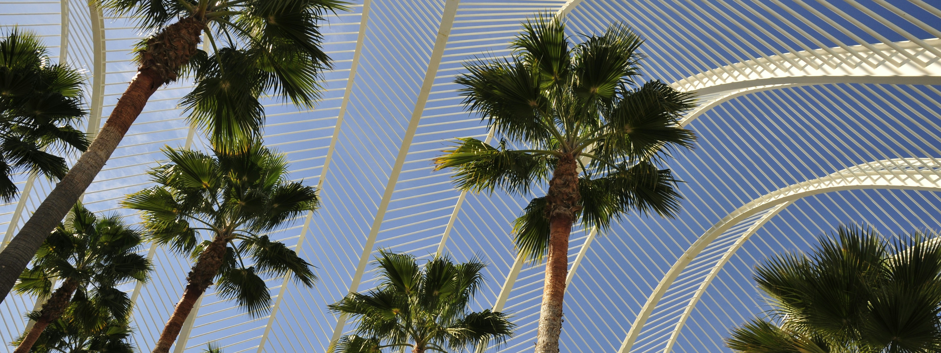 rondreis costa blanca valencia