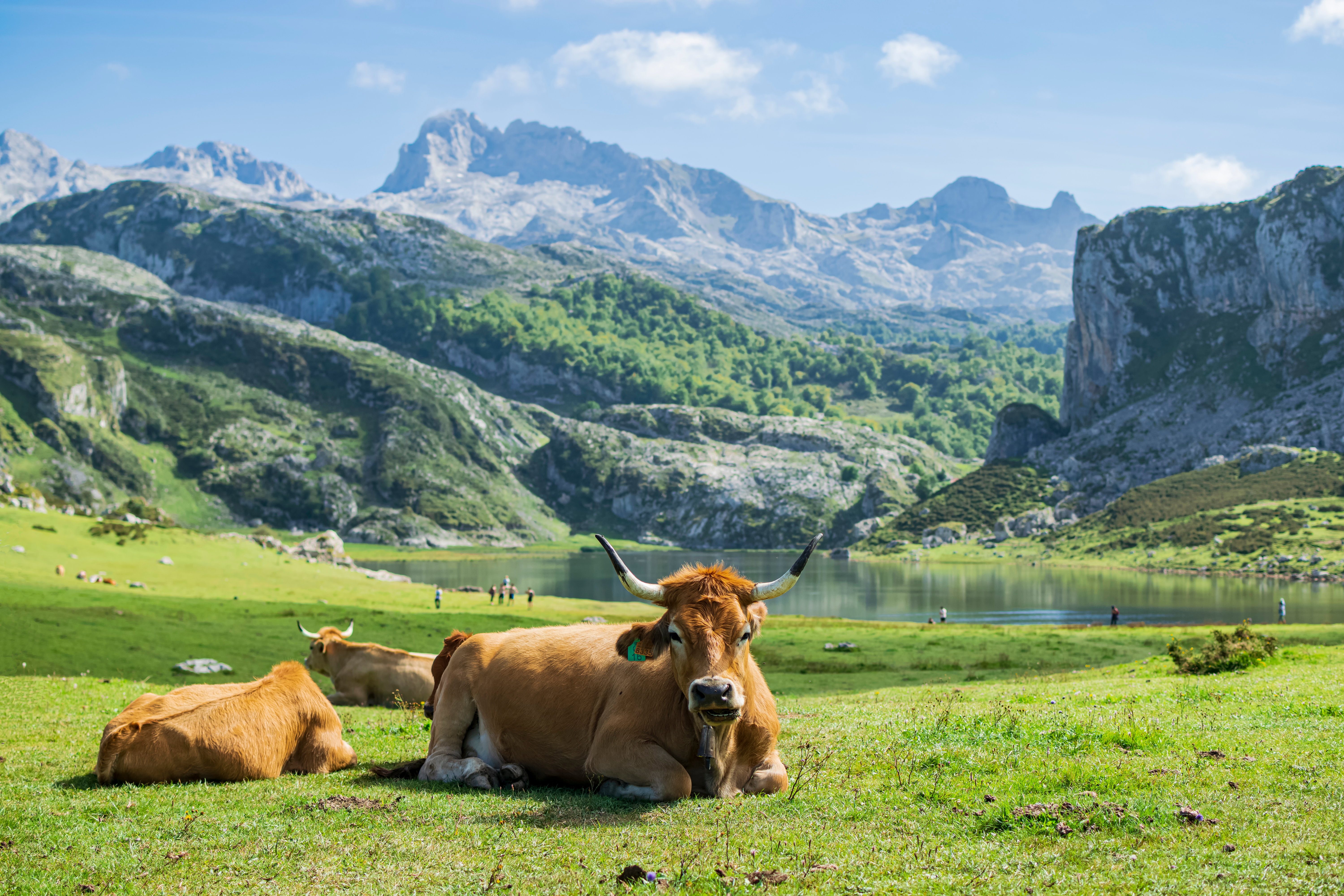 10 days in Northern Spain | Picos de Europa and the Galician coast