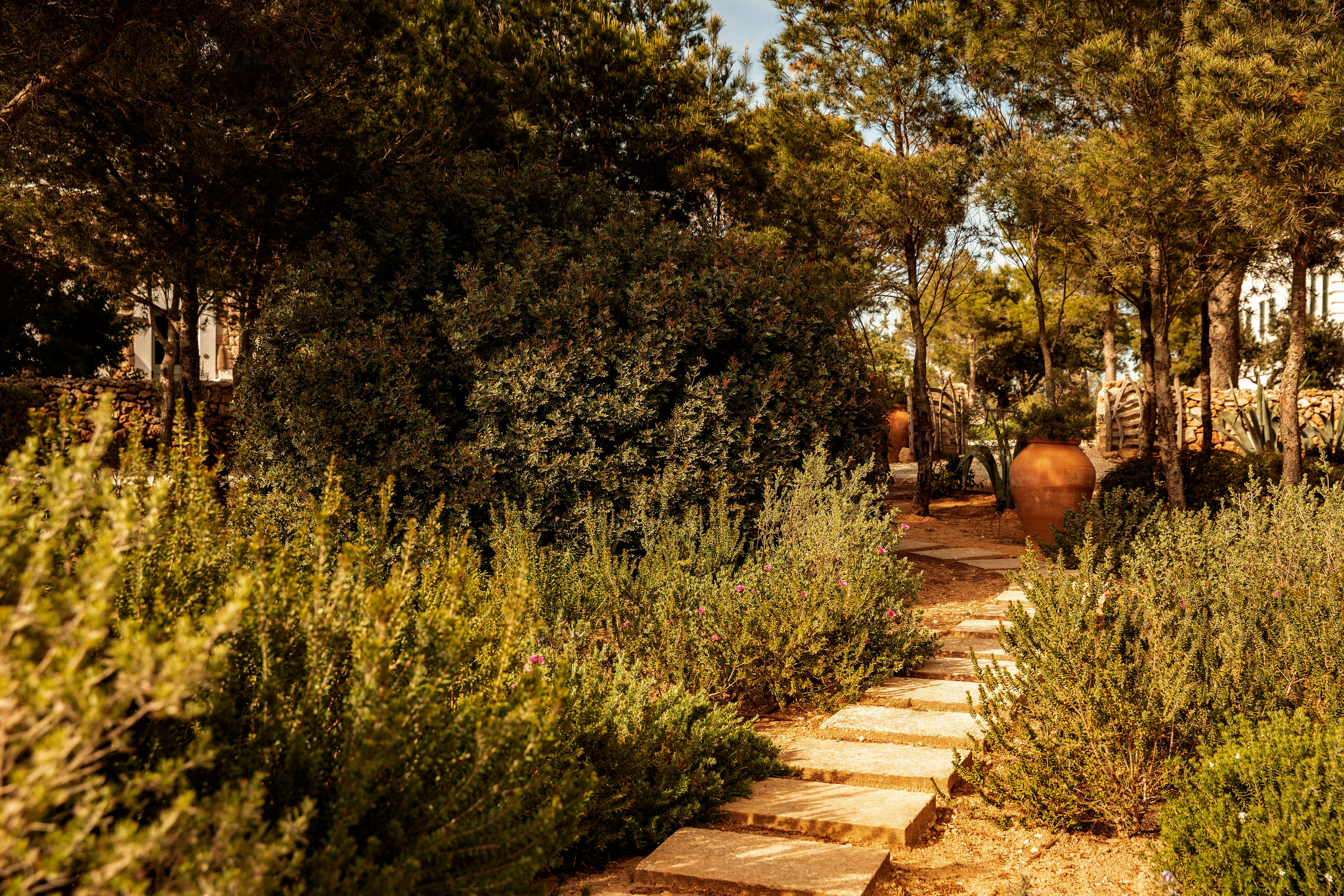 exp menorca jardin hd 054 qie