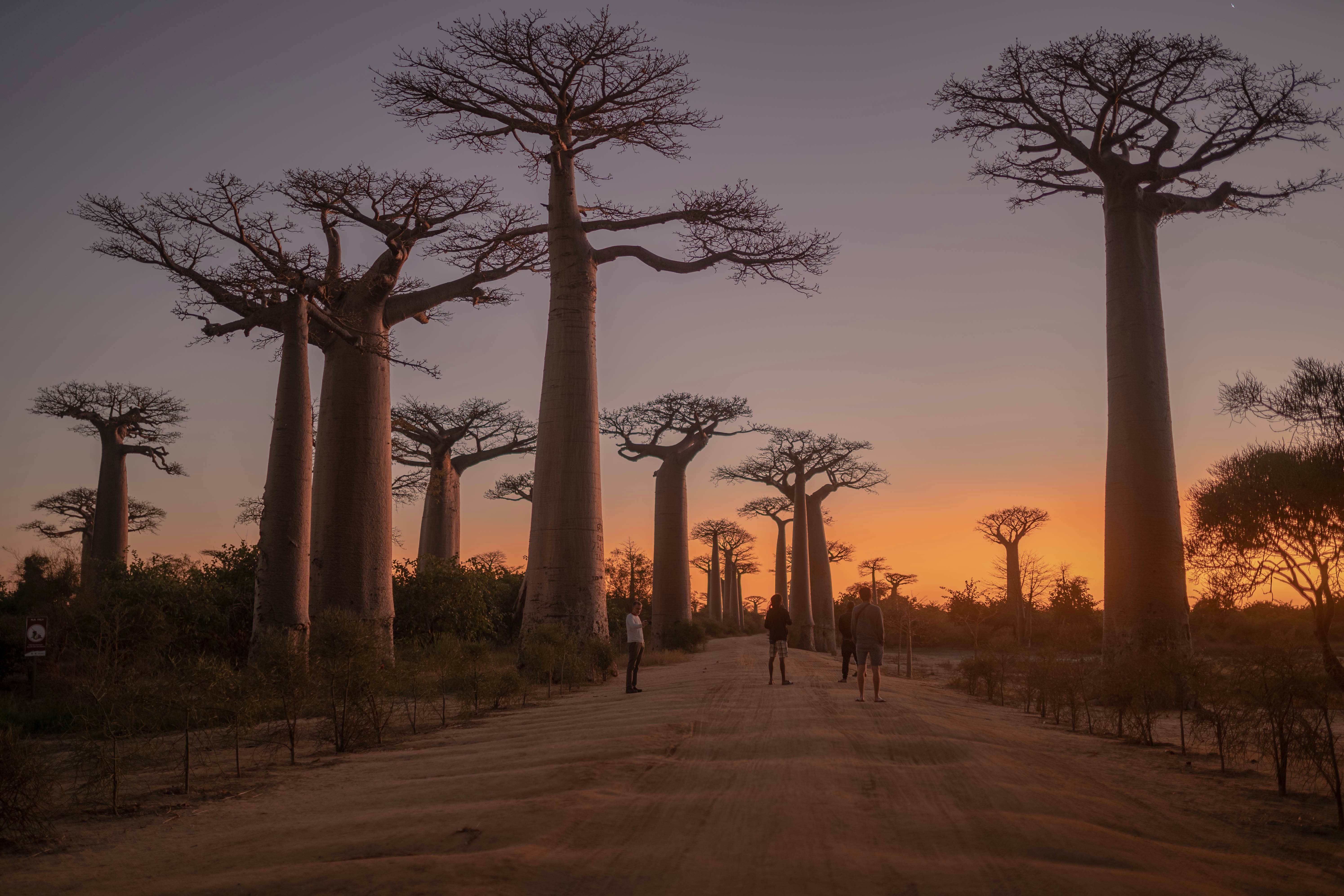 Boutique Cruise South Africa and Madagascar: discover the Indian Ocean