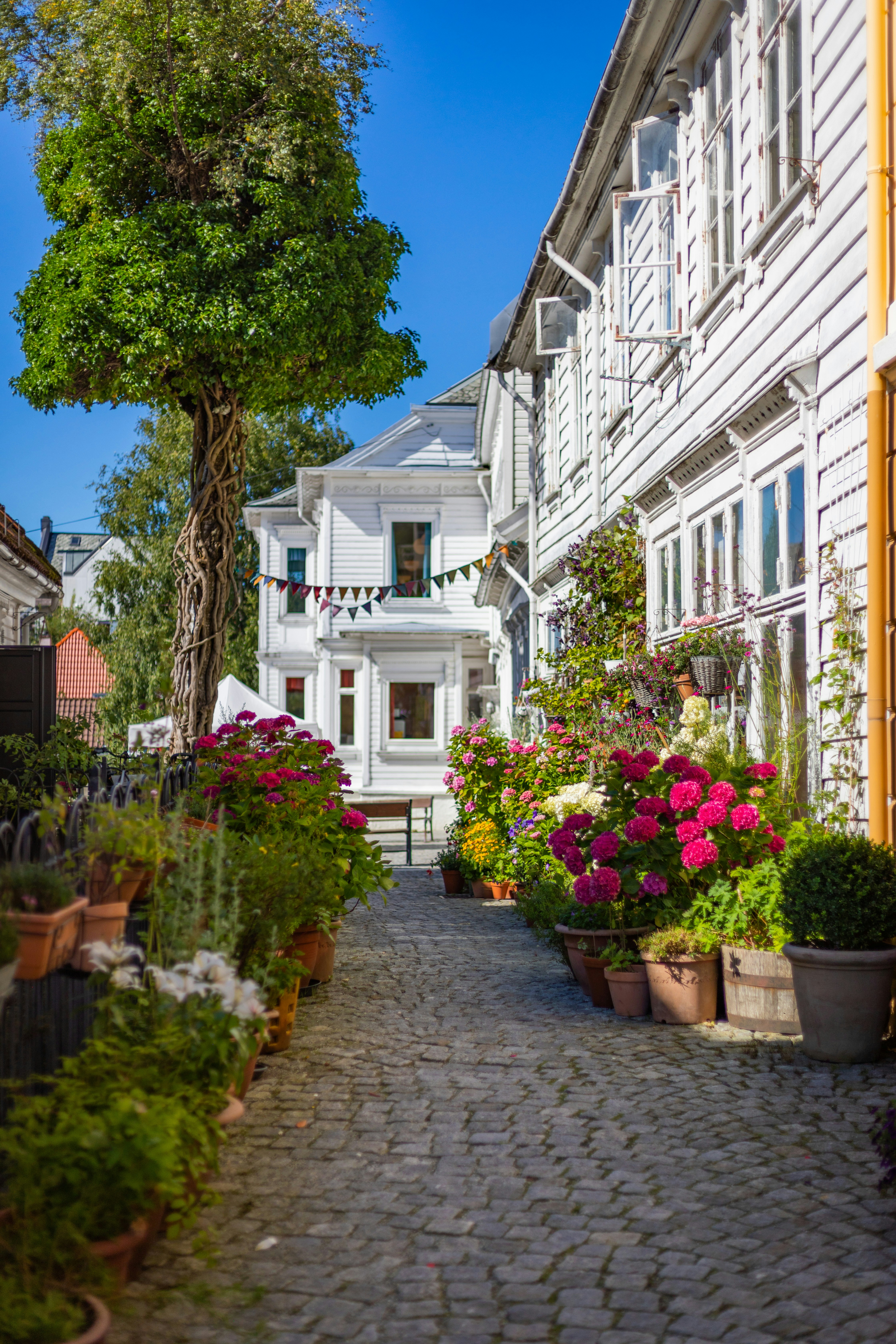 bergen