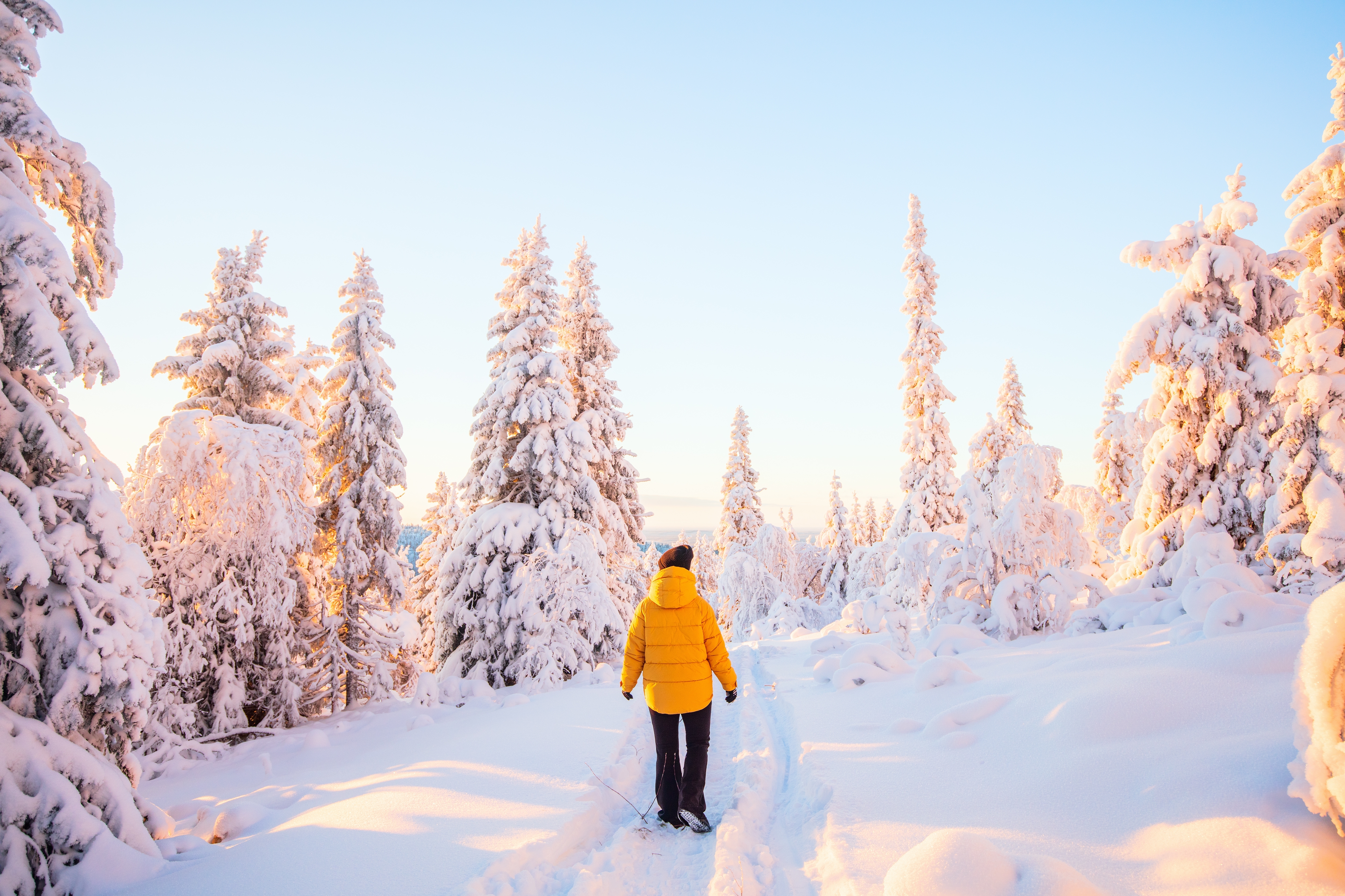 Active 8-day experiential journey to Finnish Lapland