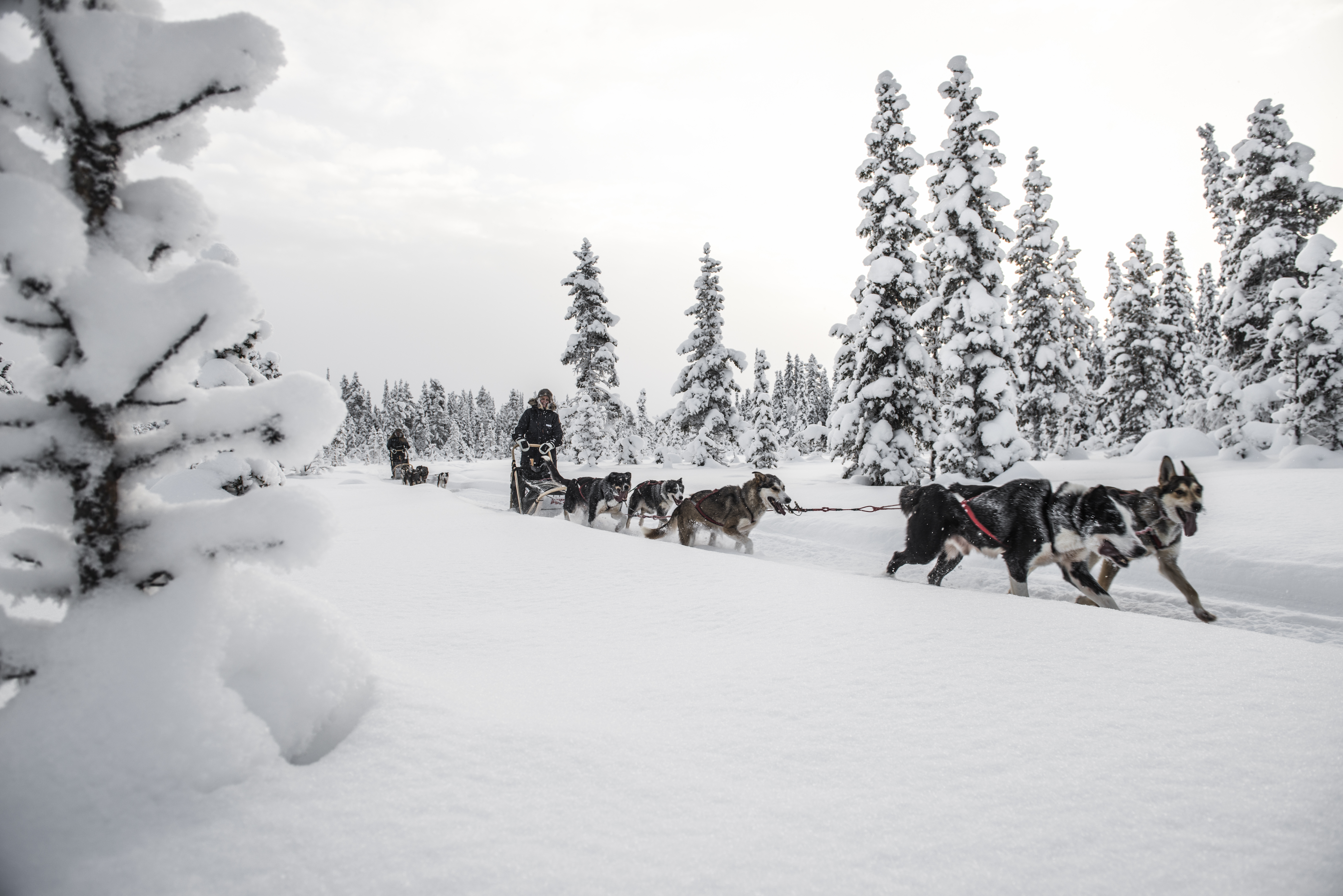 winterwonderland5