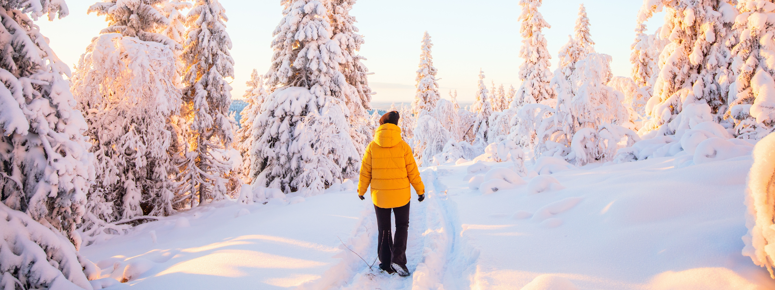 rondreis lapland finland caractere familievakantie