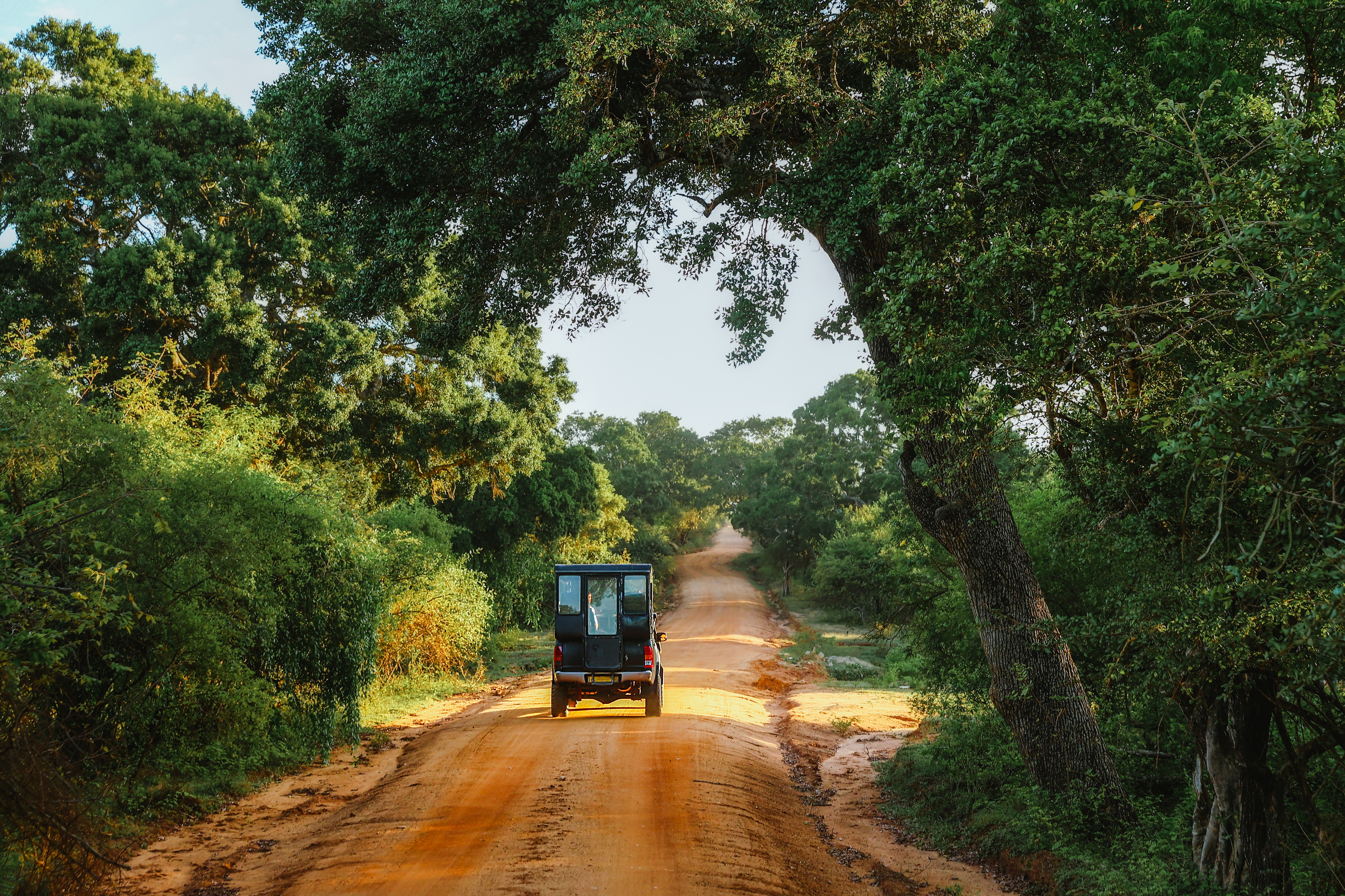 Sri Lanka tour: discover the untamed North