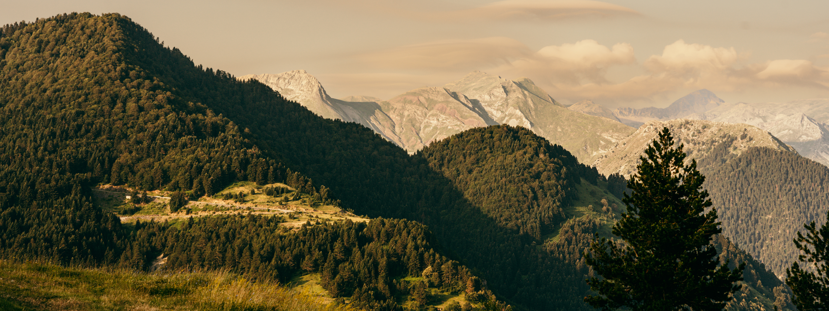 grand forest metsovo hotel griekenland