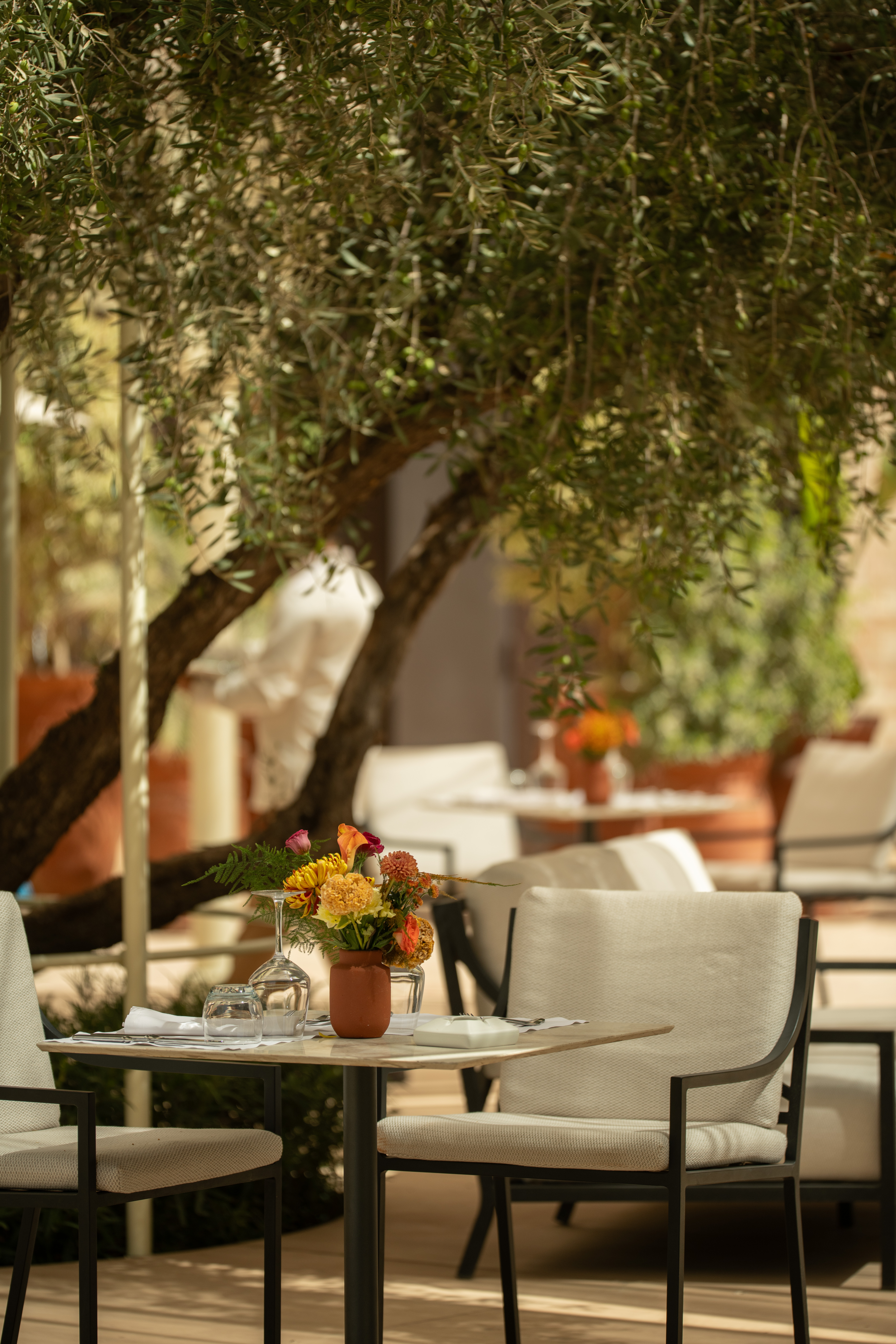 lagon jardin brunch marrakech septembre 2025 8081