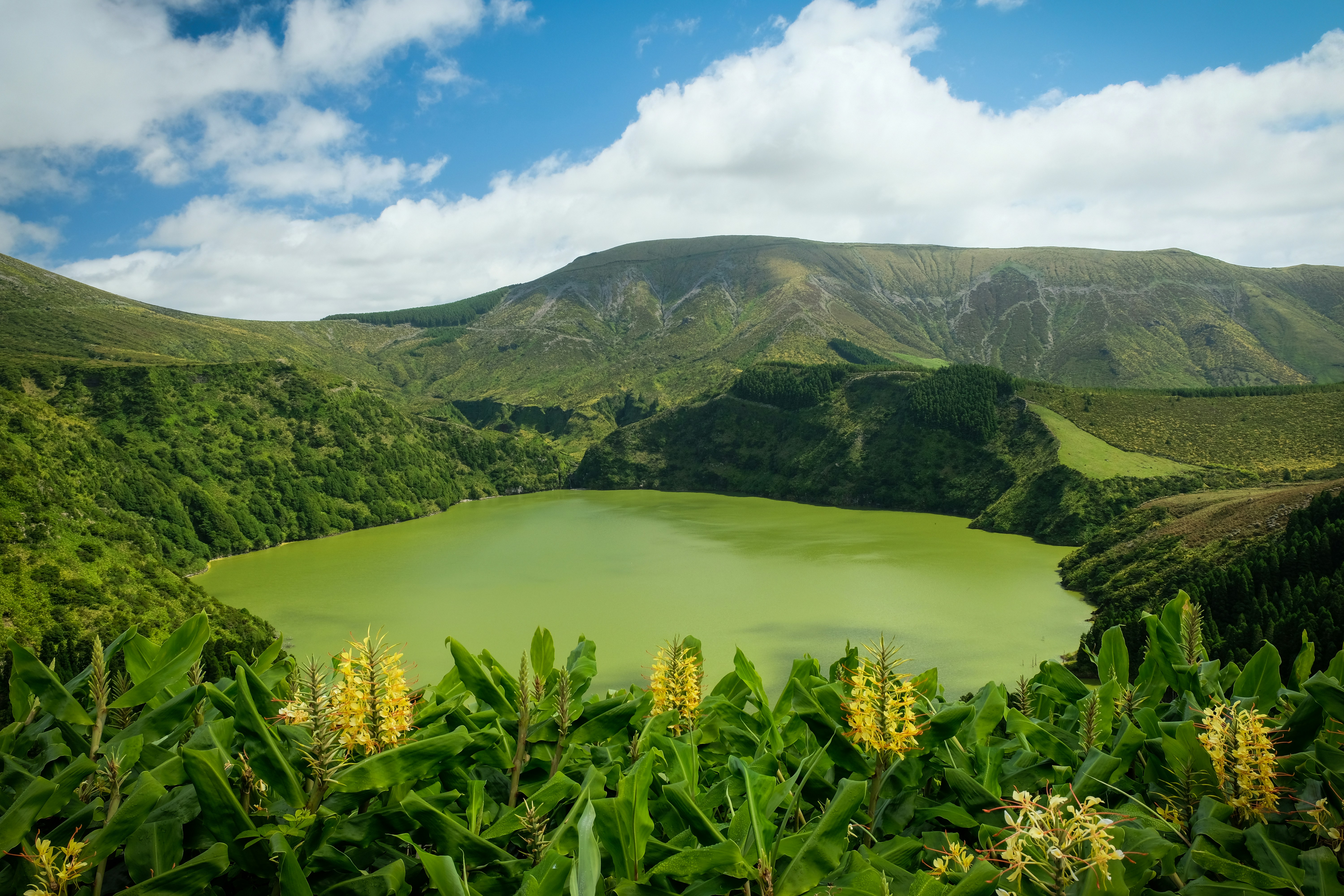Azores