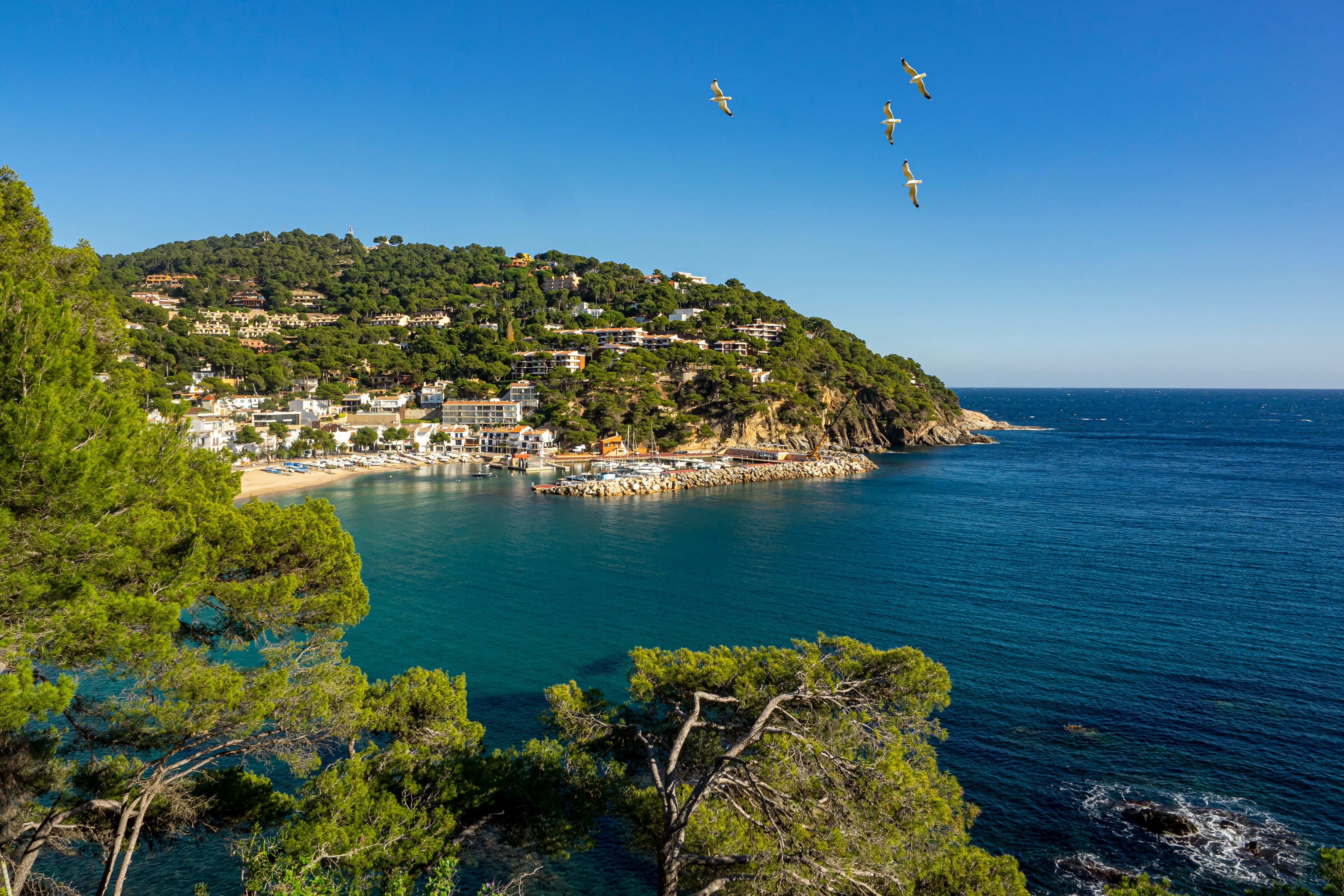 Catalonia