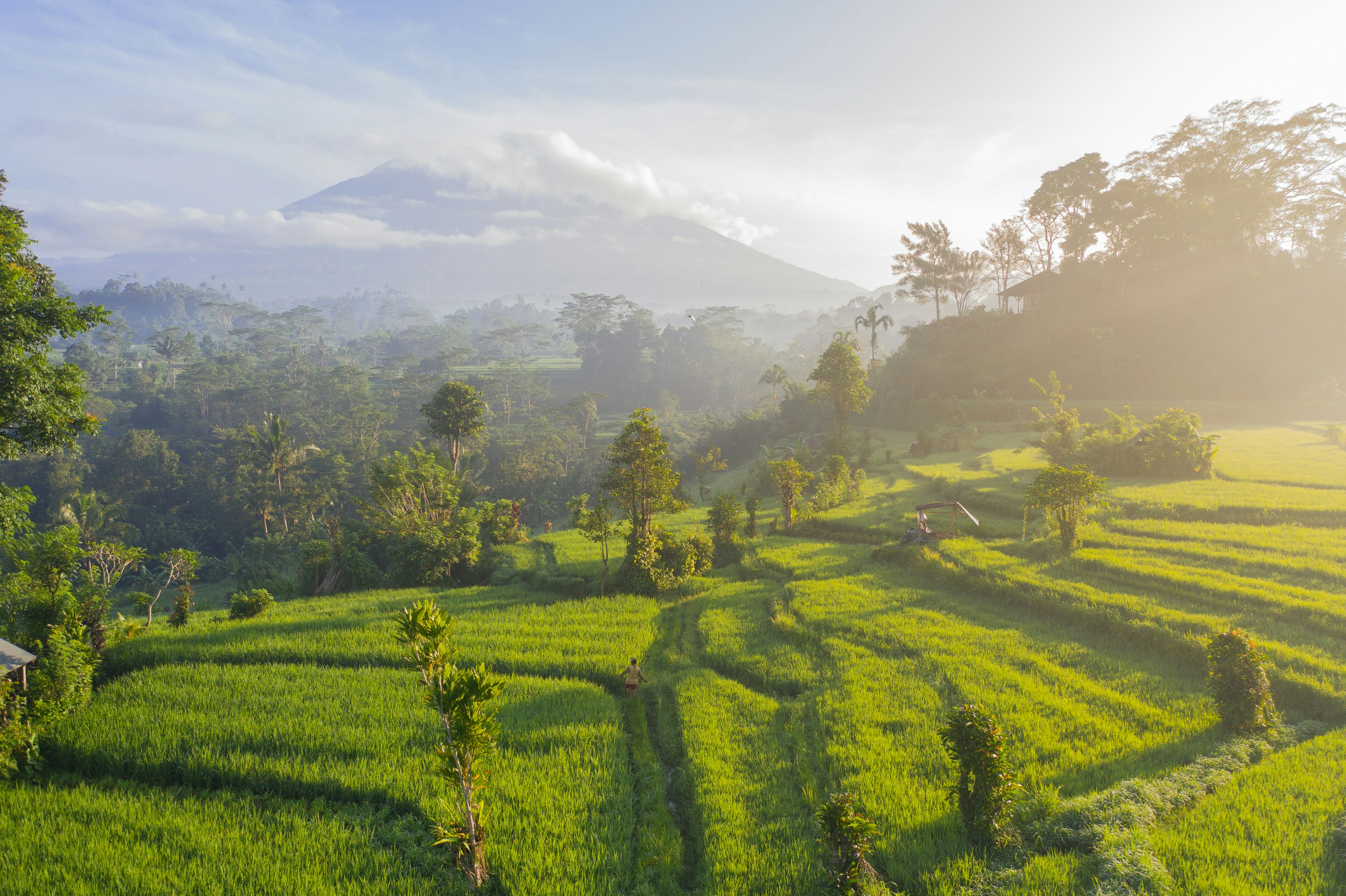 Bali road trip: authentic route from Ubud to Sidemen