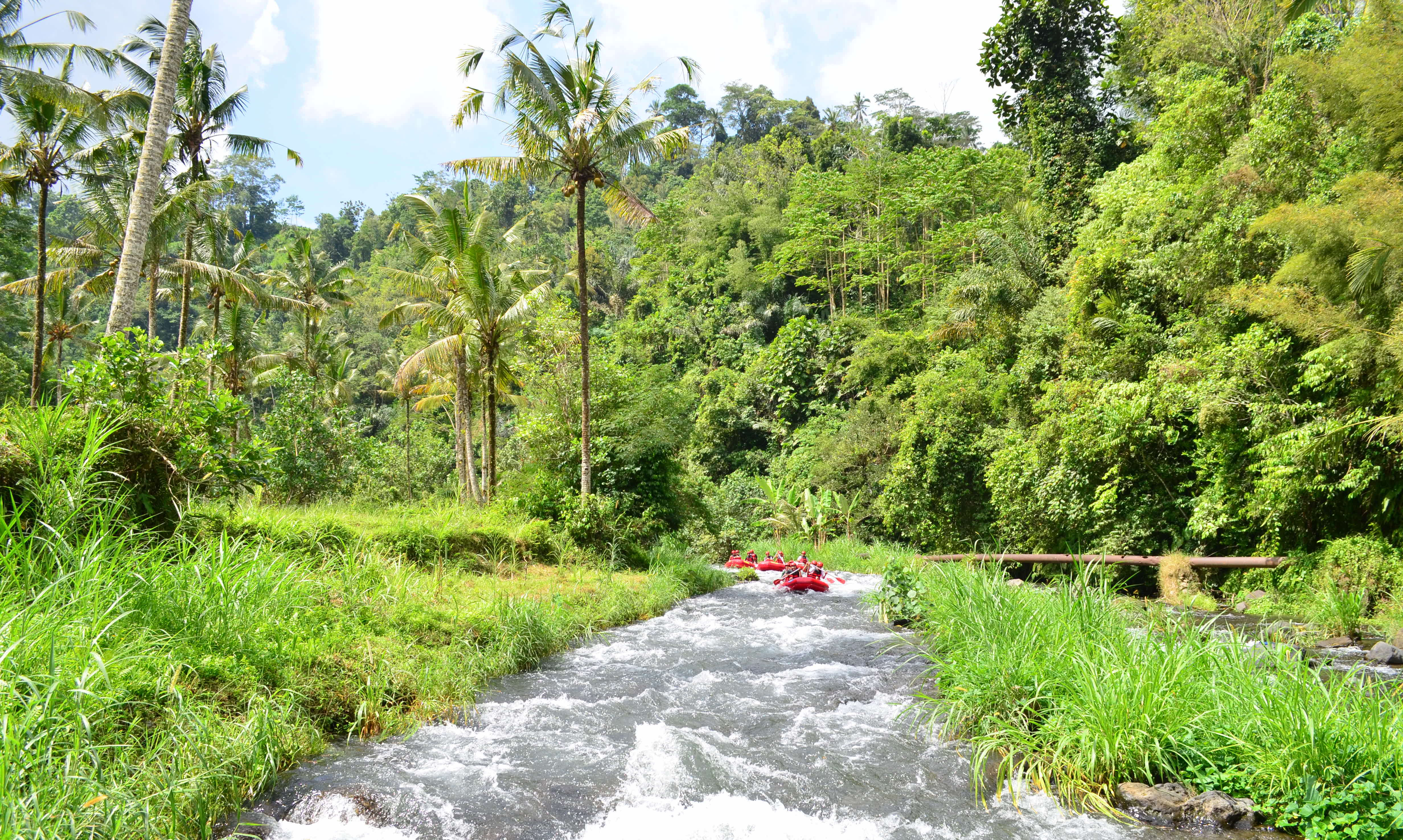 rafting in ubud river bali indonesia