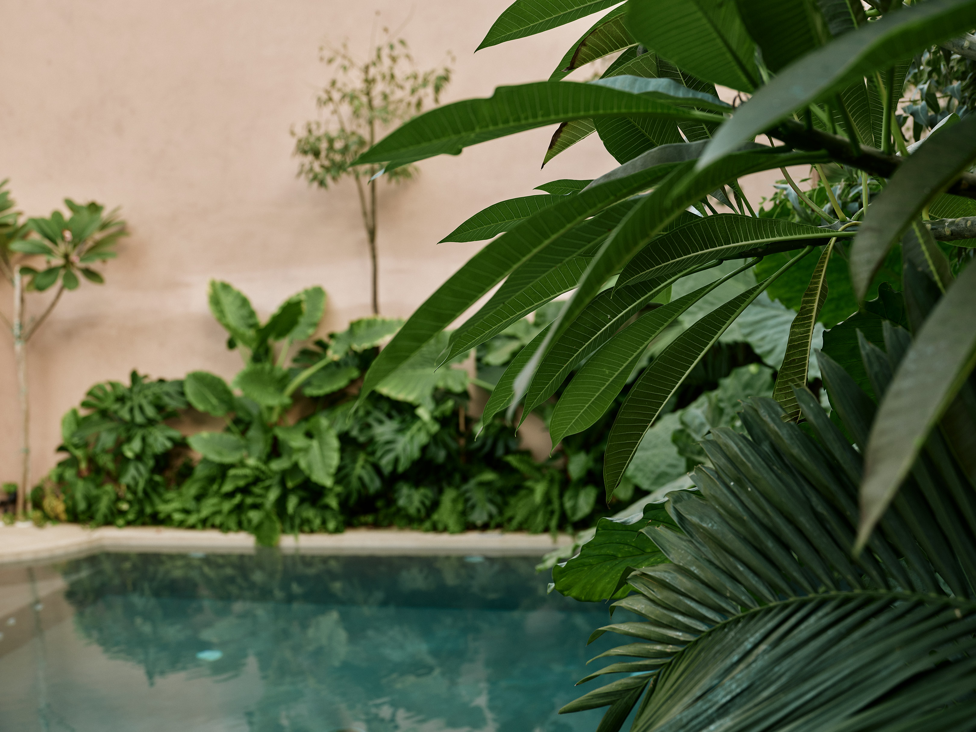 drz domus blanc 175759