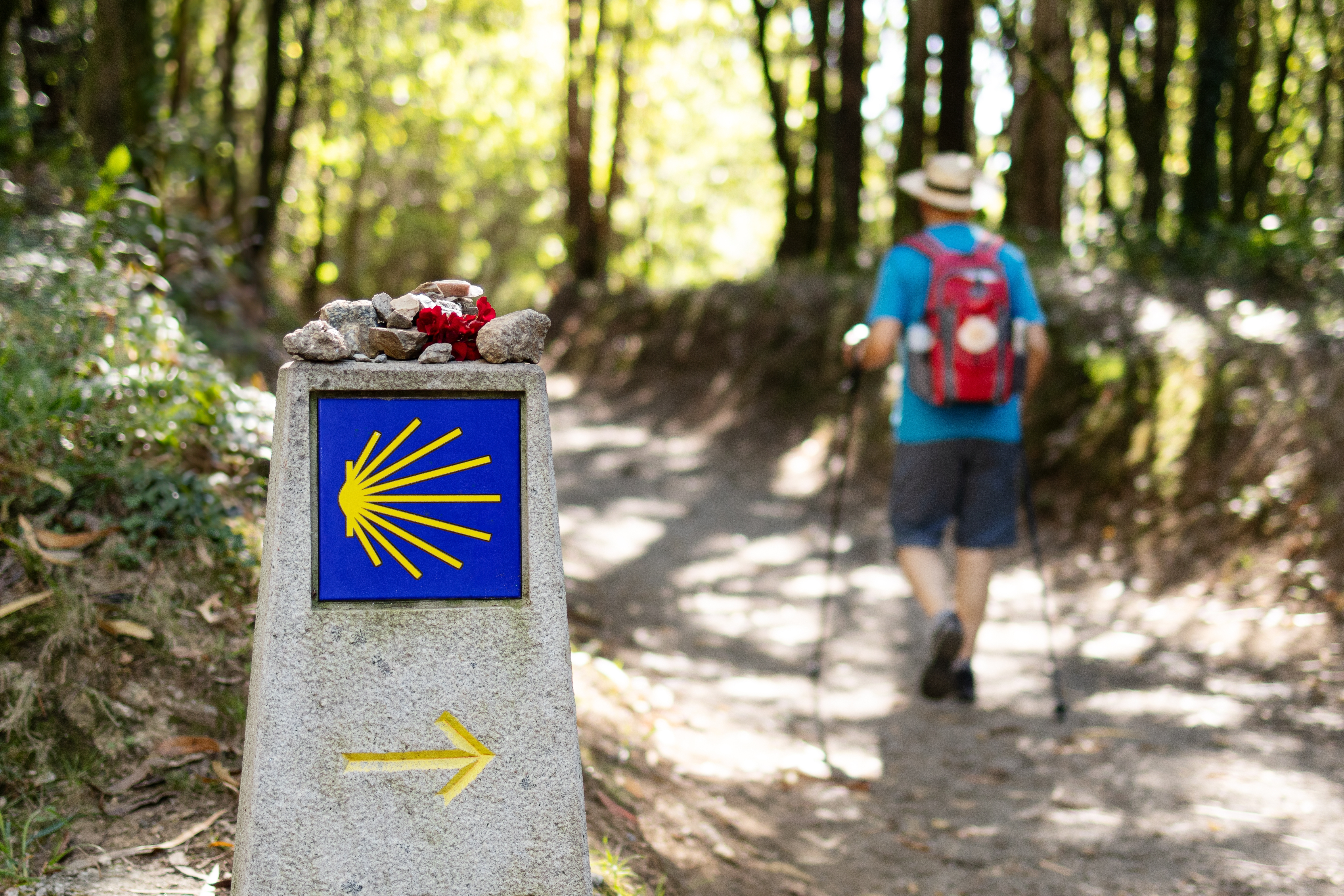 santiago de compostela wandelaar
