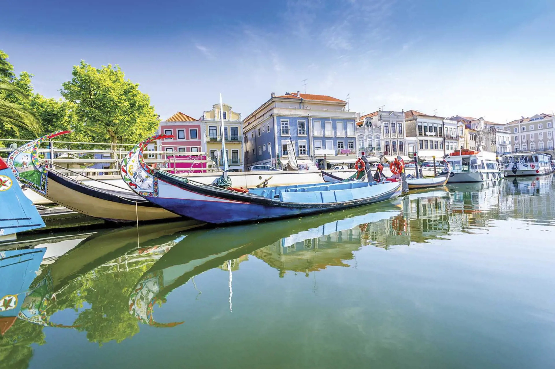 Tour of Northern and Central Portugal: Minho, the Douro Valley, Aveiro, and Porto