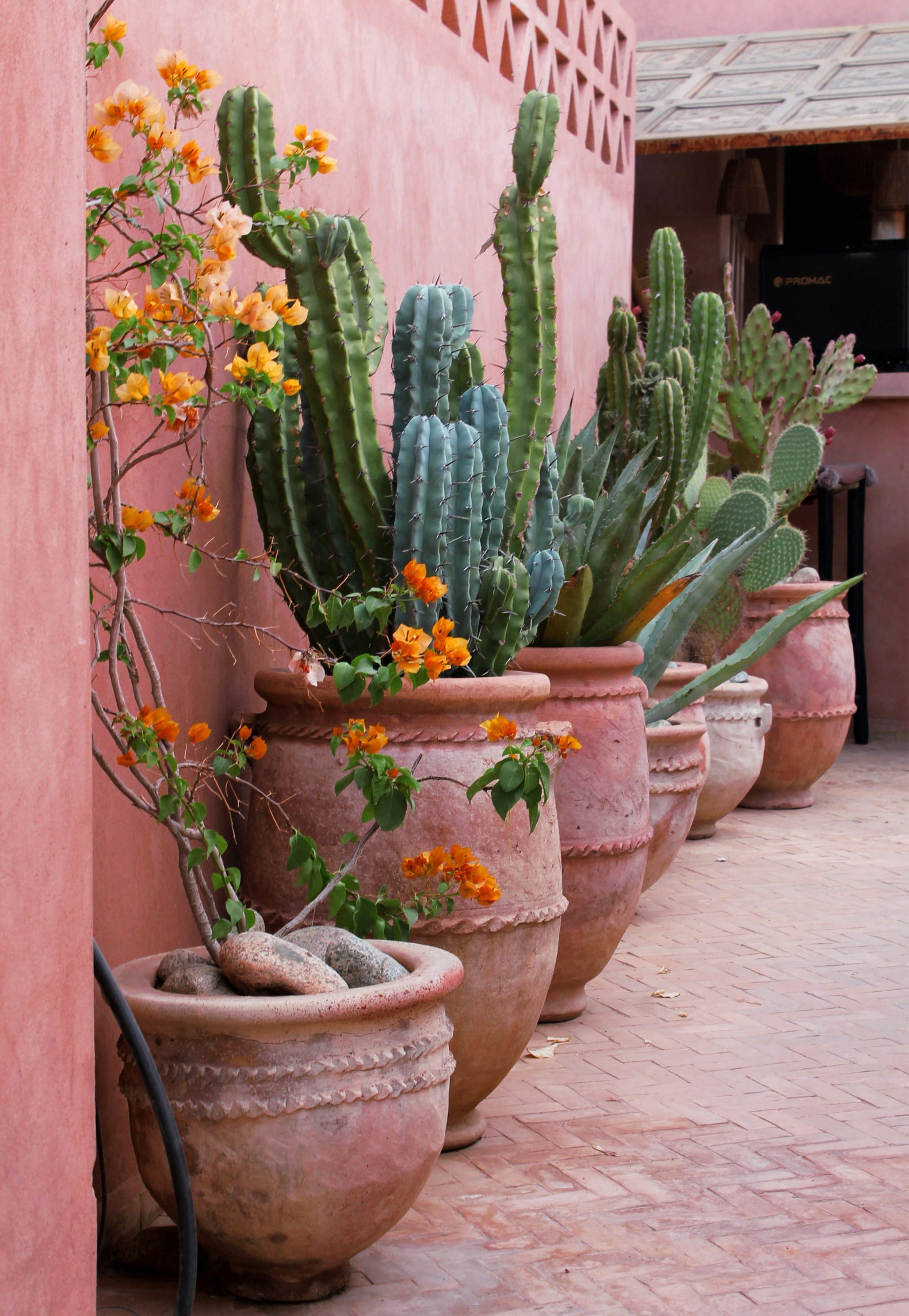 riad in marrakech